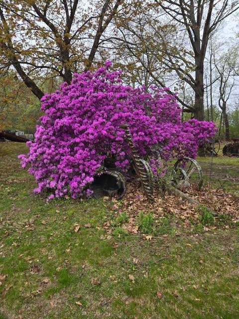 #69 photo, 62 Tybush Lane, Brunswick , NY 12180