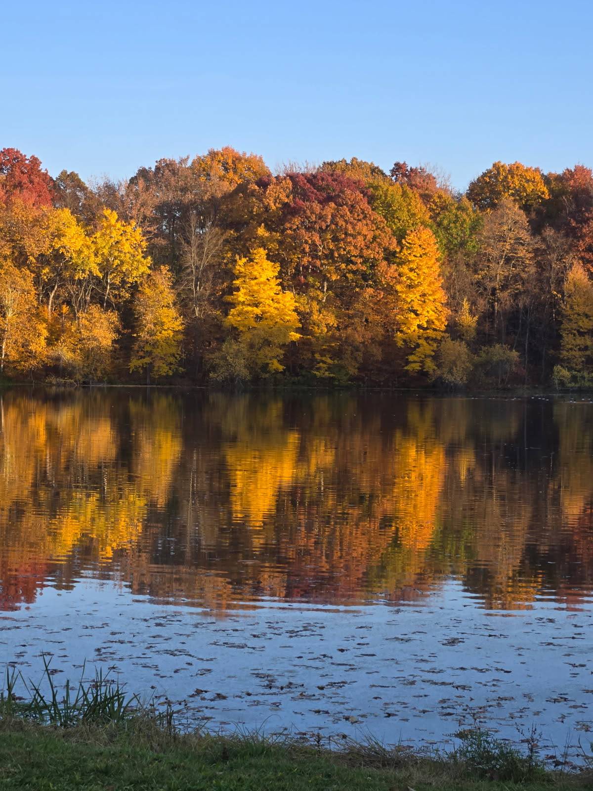 #7 photo, 62 Tybush Lane, Brunswick , NY 12180