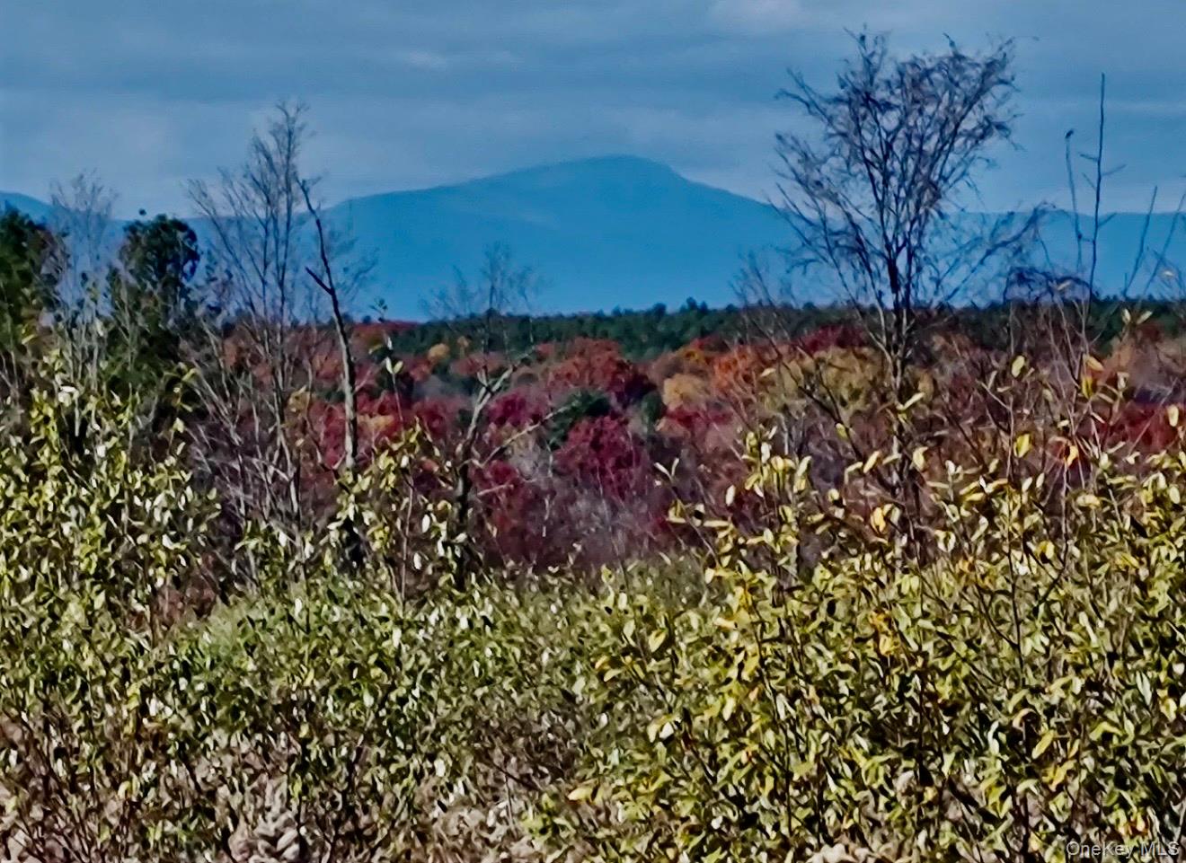 #1 photo, Manor Rock Road, 뉴욕주 Craryville , NY 12521