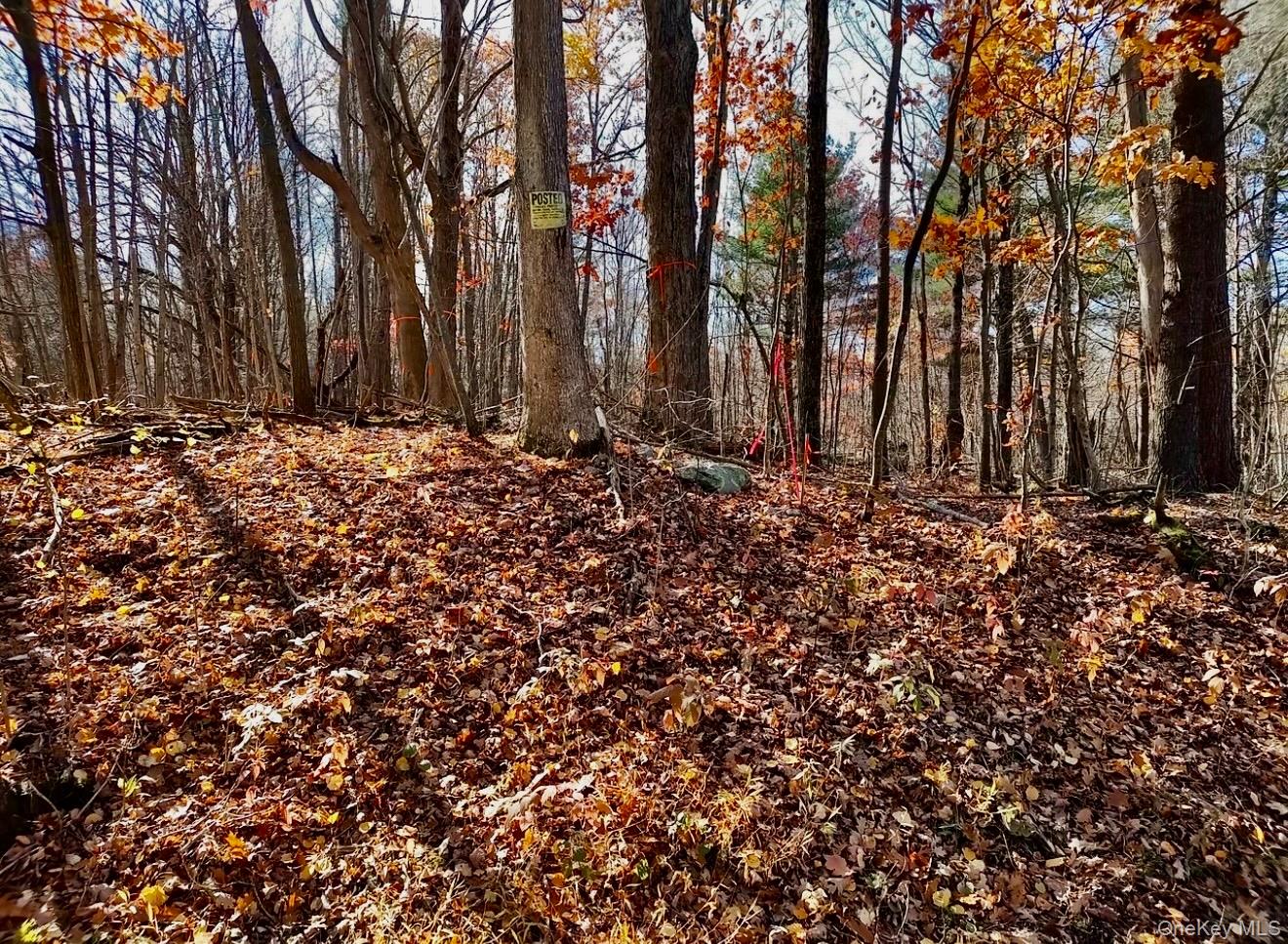 #10 photo, Manor Rock Road, 뉴욕주 Craryville , NY 12521