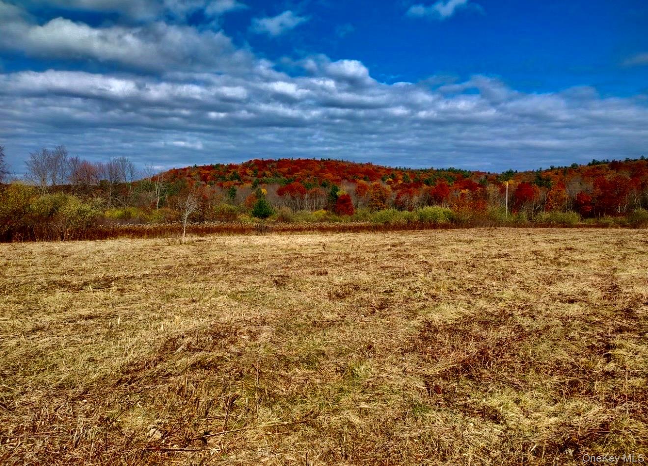 #2 photo, Manor Rock Road, 뉴욕주 Craryville , NY 12521