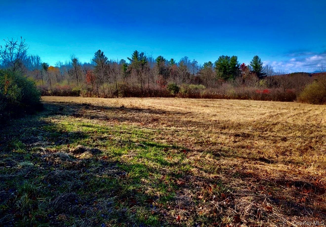 #4 photo, Manor Rock Road, 뉴욕주 Craryville , NY 12521