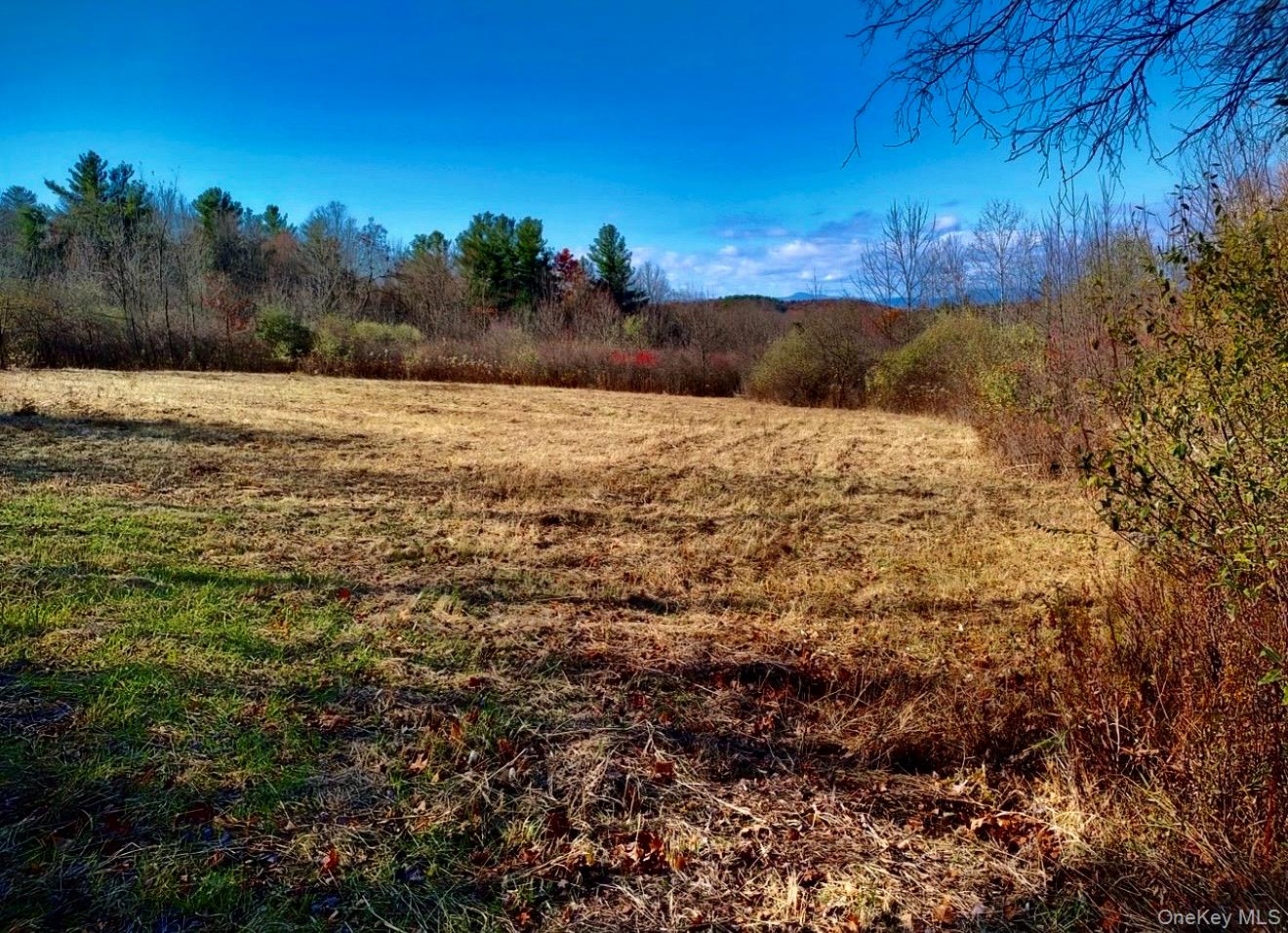 #5 photo, Manor Rock Road, 뉴욕주 Craryville , NY 12521