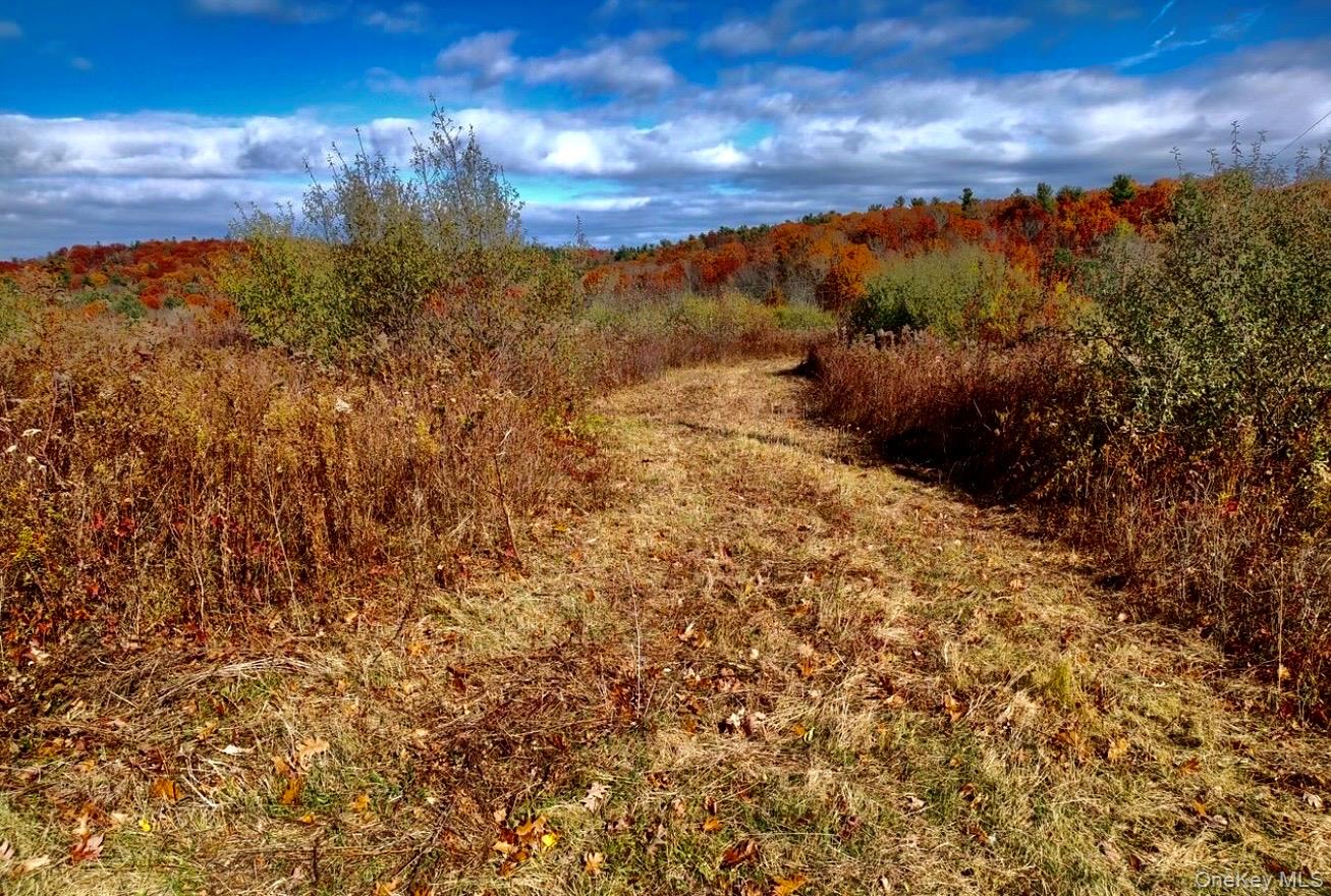 #6 photo, Manor Rock Road, 뉴욕주 Craryville , NY 12521