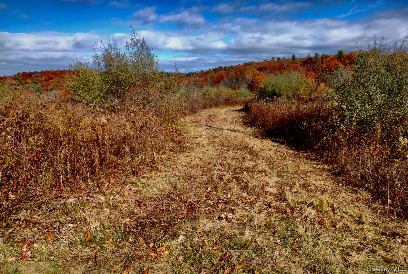 #7 photo, Manor Rock Road, 뉴욕주 Craryville , NY 12521