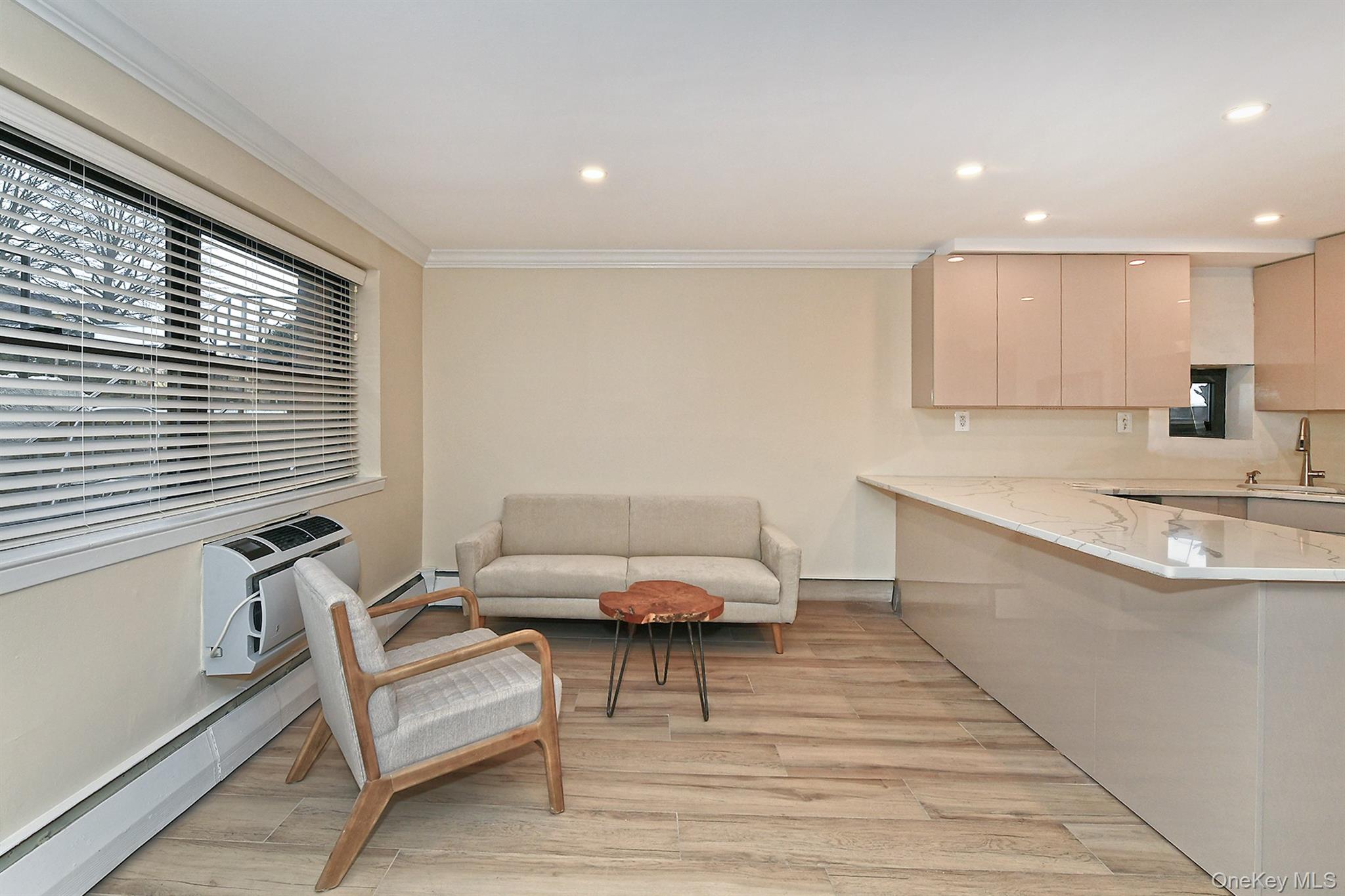 #8 photo, 80 Lincoln Avenue, Rockville Centre , NY 11750