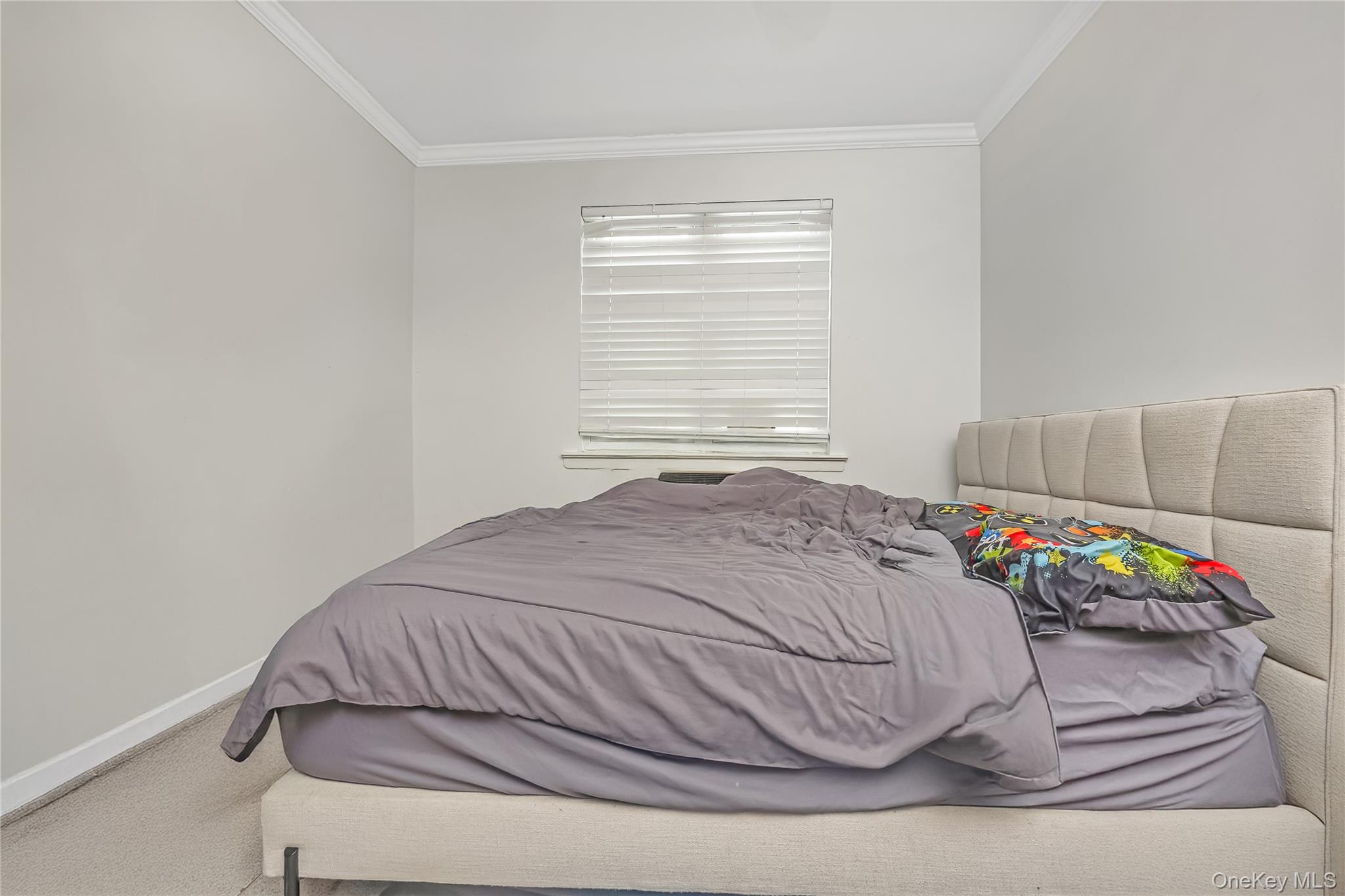 #17 photo, 7159 58th Road, קווינס Maspeth , NY 11378