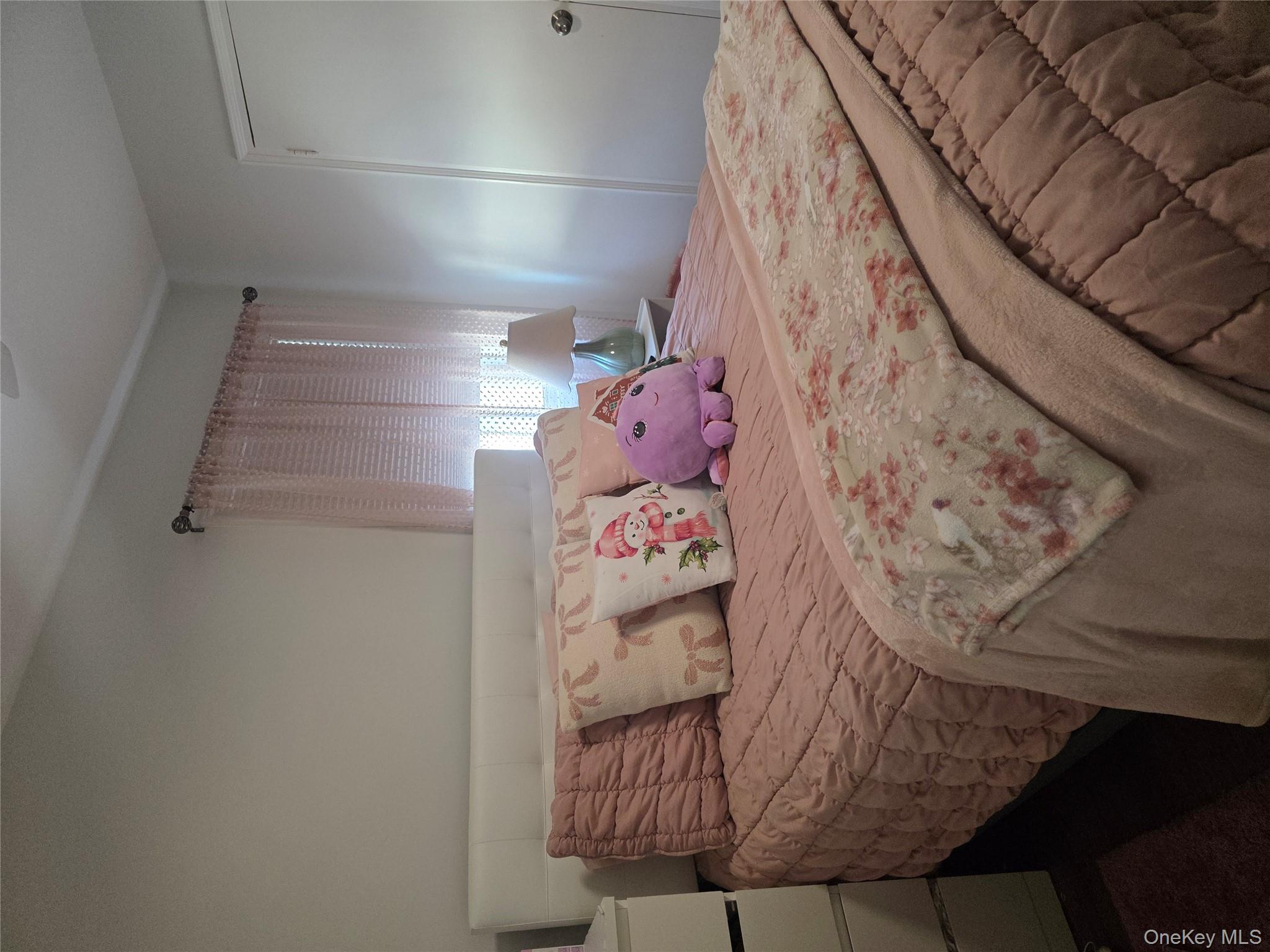 #10 photo, 181 Barrymore Boulevard, Franklin Square , NY 11010