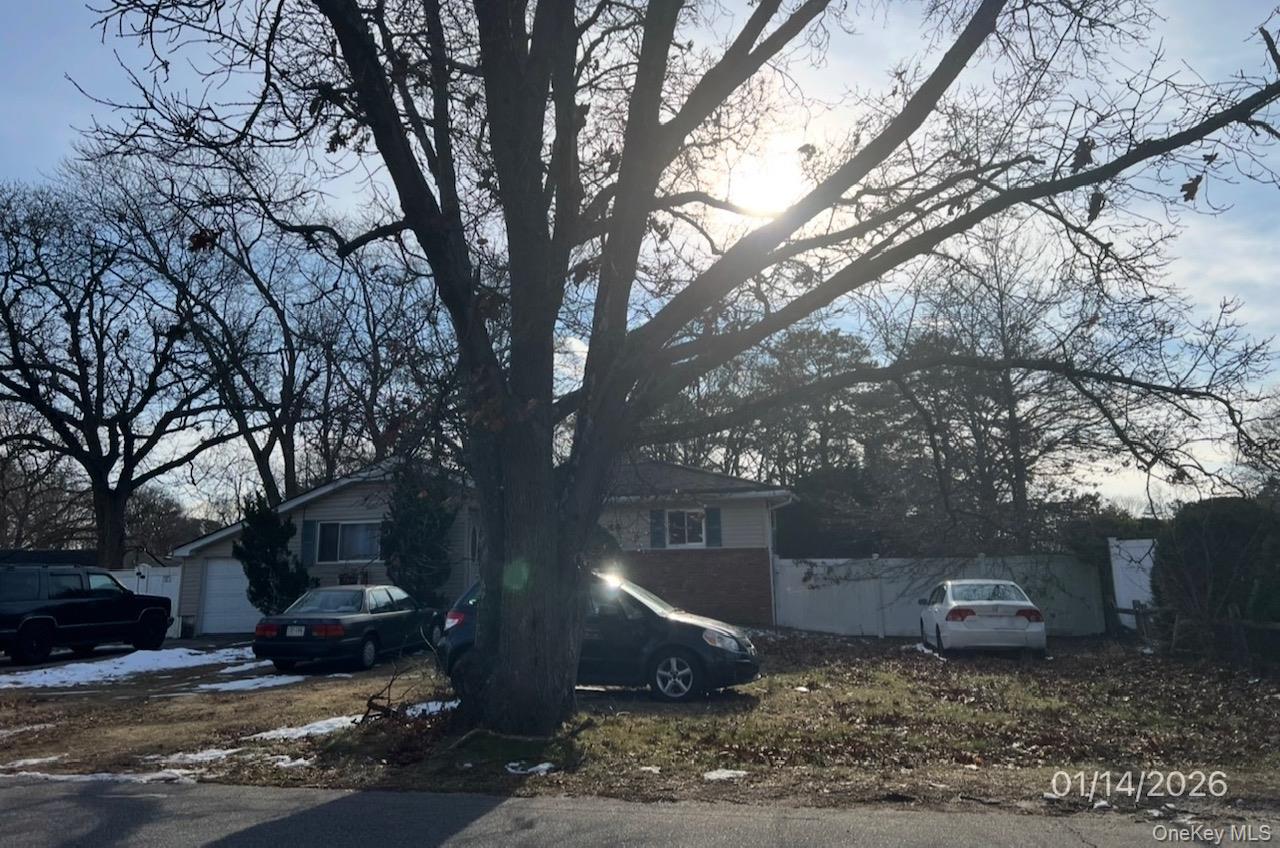 #1 photo, 44 Lexington Avenue, سوفولك Brentwood , NY 11717