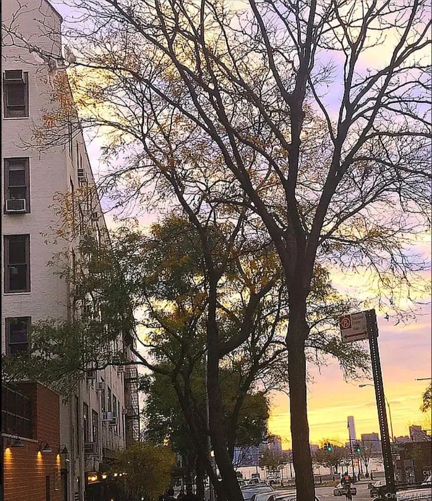 #8 photo, 130 Barrow Street, New York (Manhattan) , NY 10014