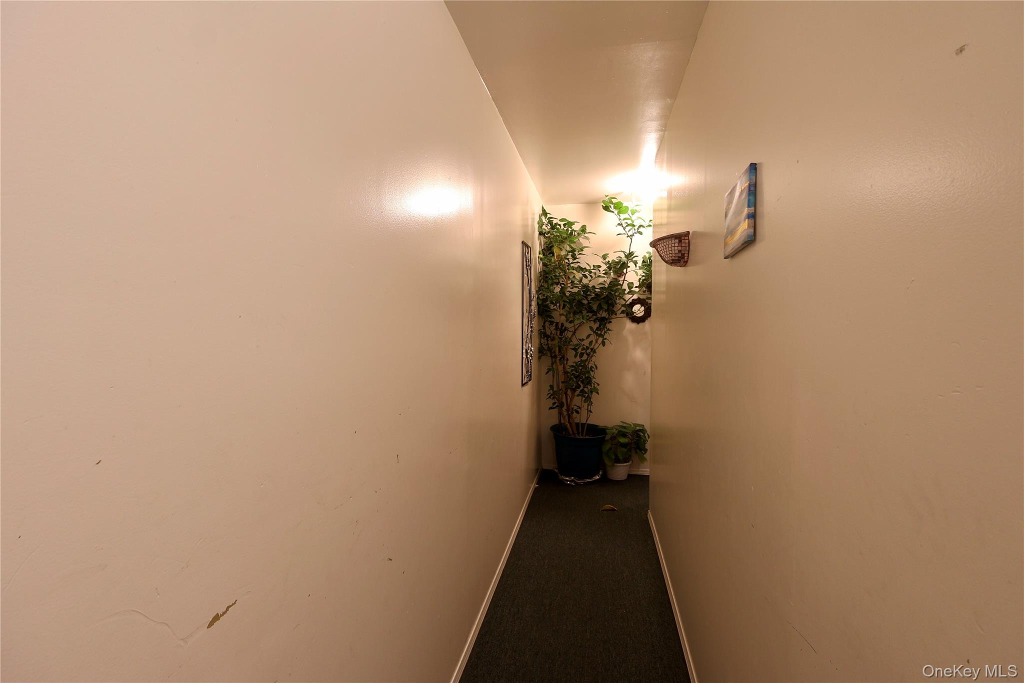 #6 photo, 127-06 97th Avenue, Richmond Hill S. , NY 11419