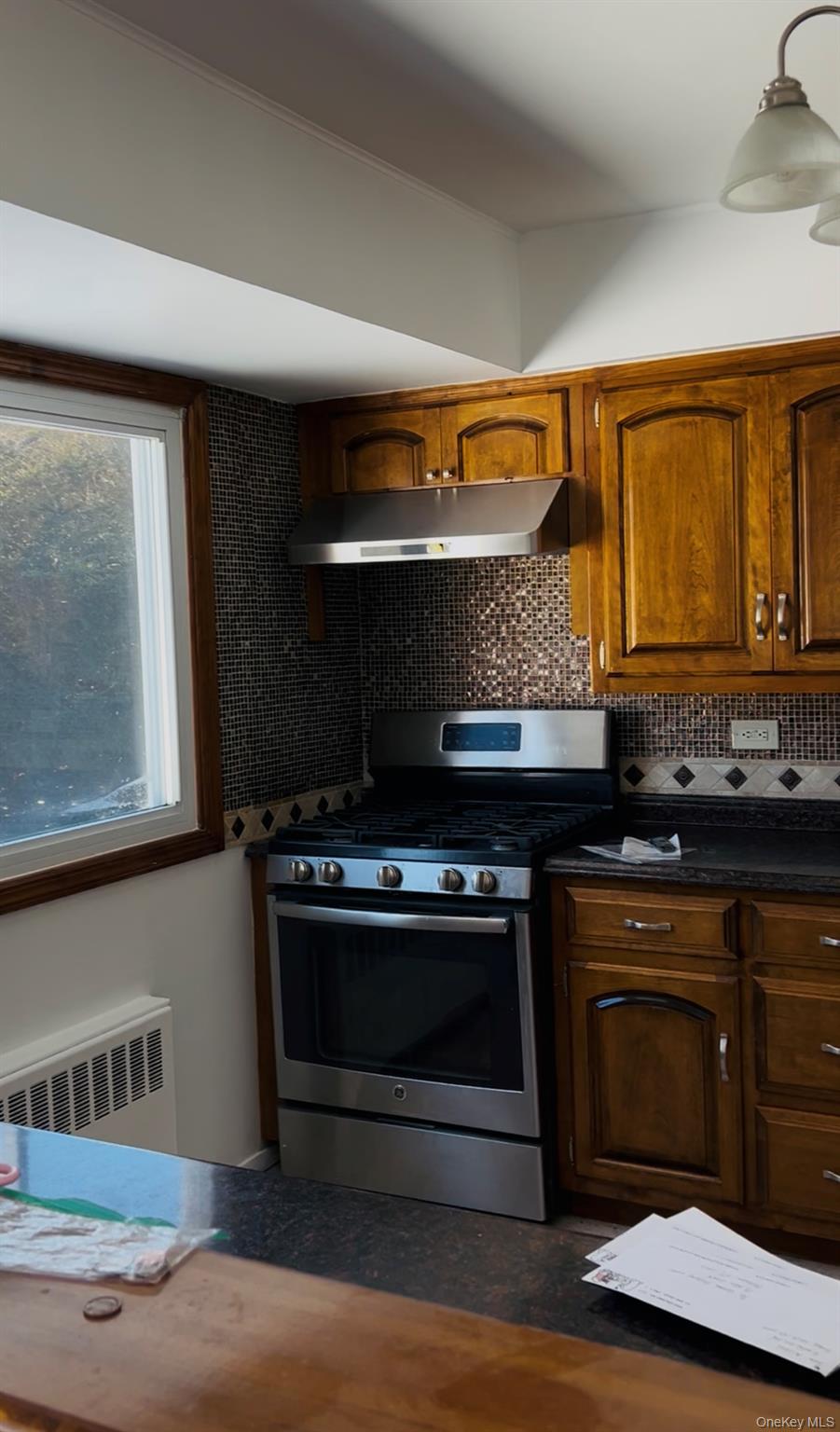 #7 photo, 19 Alan Court, 長島 Plainview , NY 11803