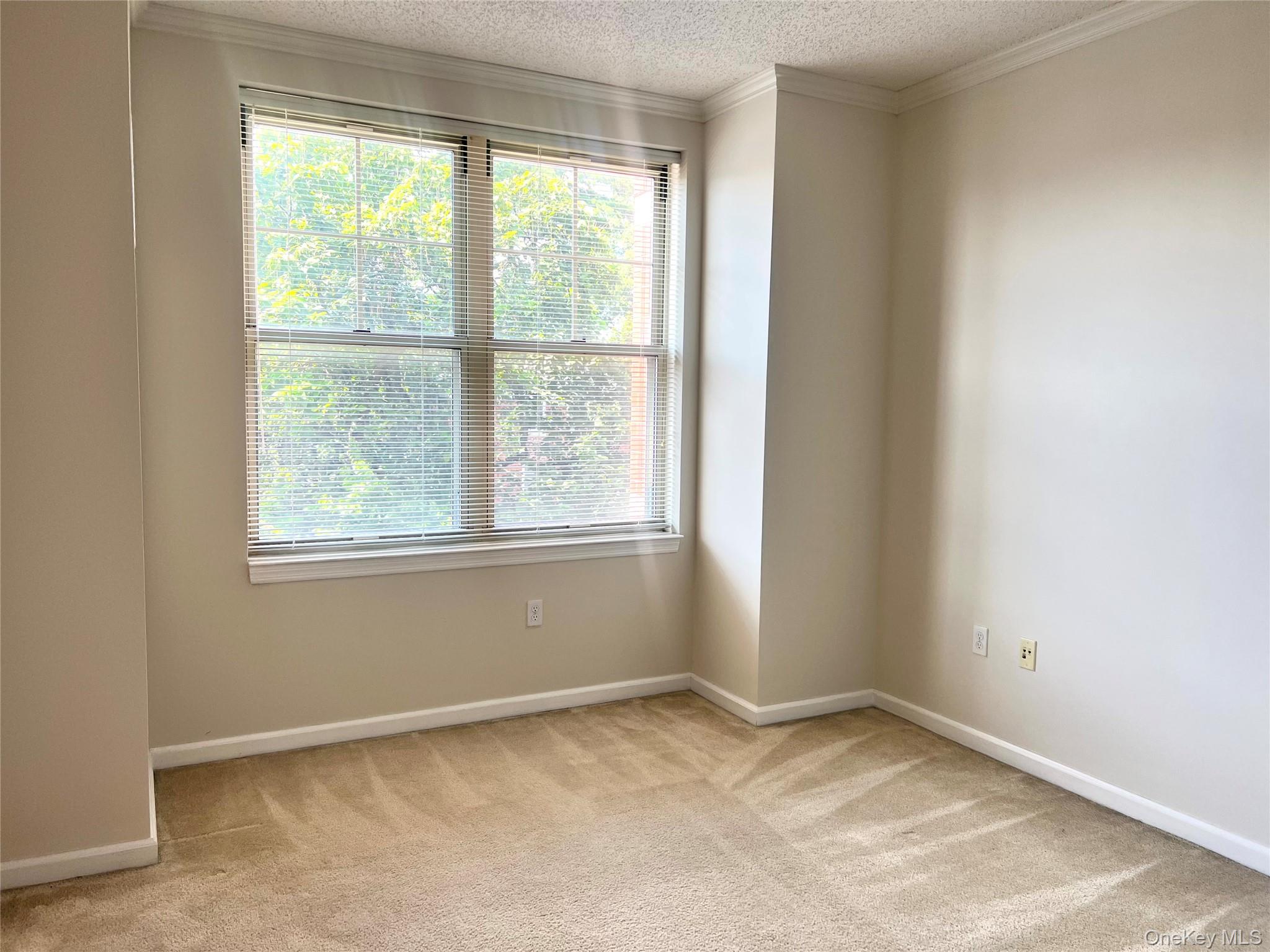 #14 photo, 300 Mamaroneck Avenue, White Plains , NY 10605