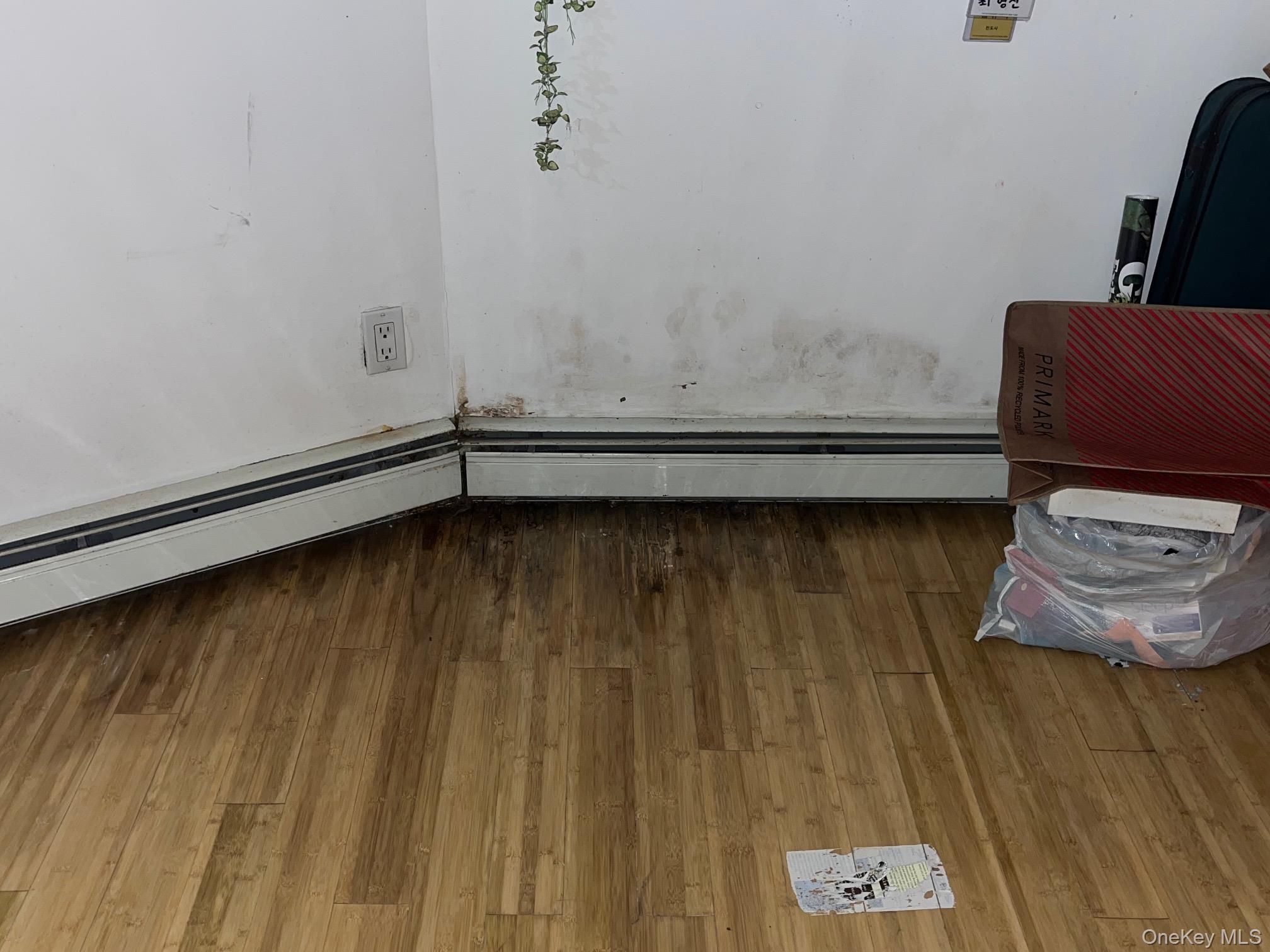 #10 photo, 16 park, Floral Park , NY 11001