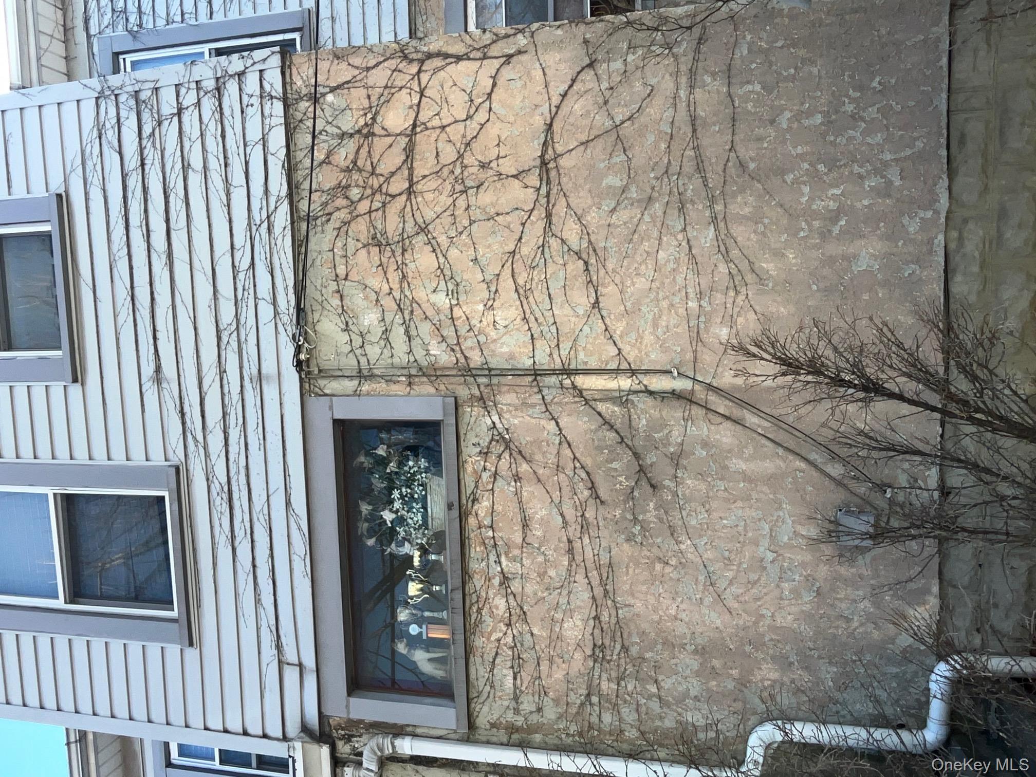 #15 photo, 16 park, Floral Park , NY 11001