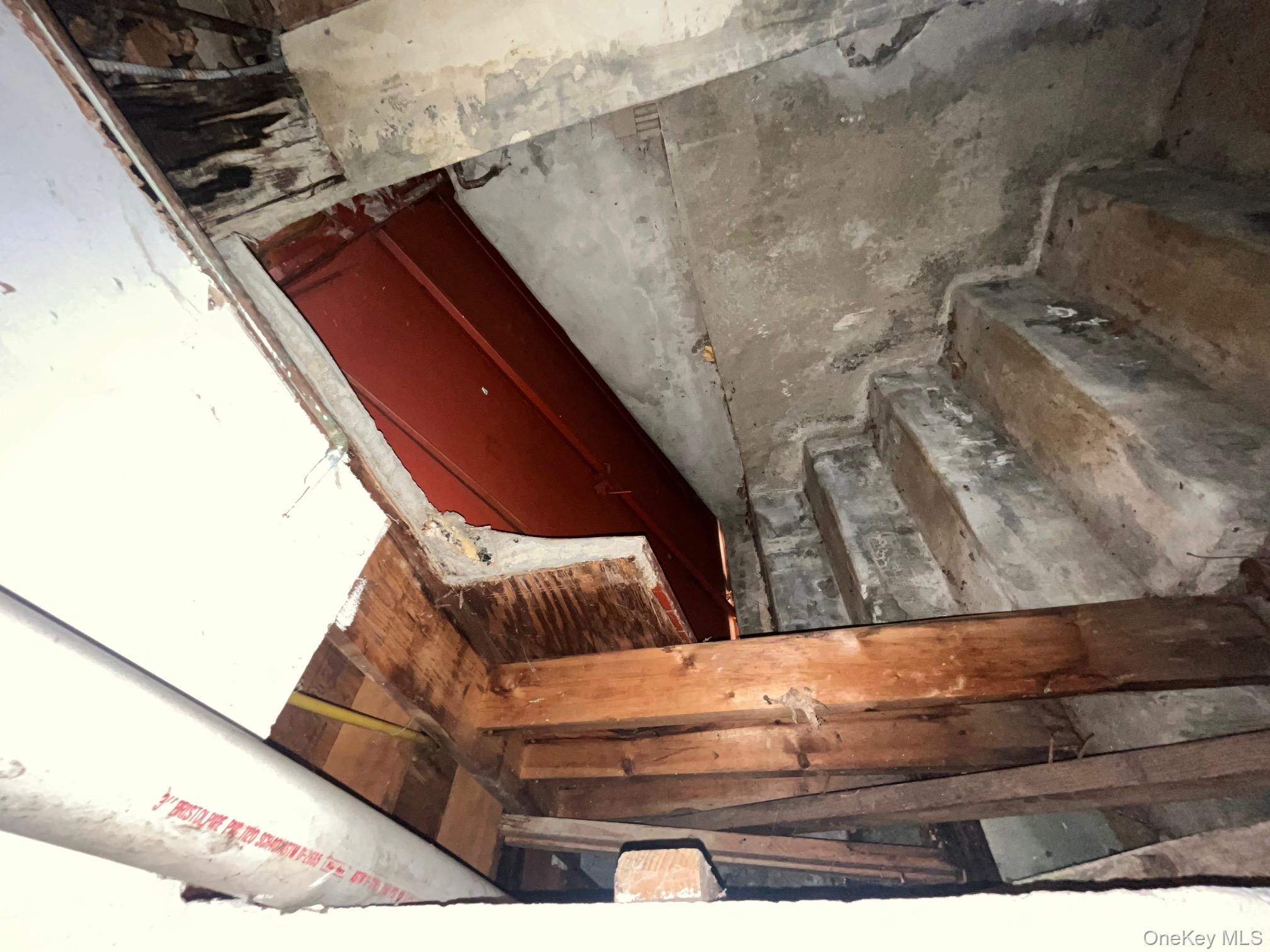 #8 photo, 16 park, Floral Park , NY 11001