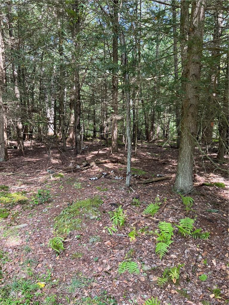 #3 photo, 000 Cooper Drive Road, Kauneonga Lake , NY 12783