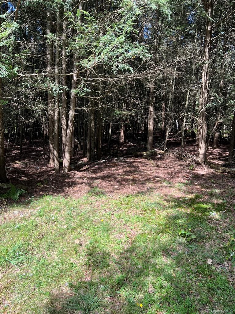 #4 photo, 000 Cooper Drive Road, Kauneonga Lake , NY 12783