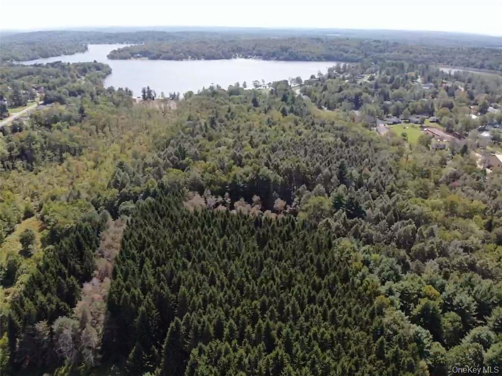 #7 photo, 000 Cooper Drive Road, Kauneonga Lake , NY 12783