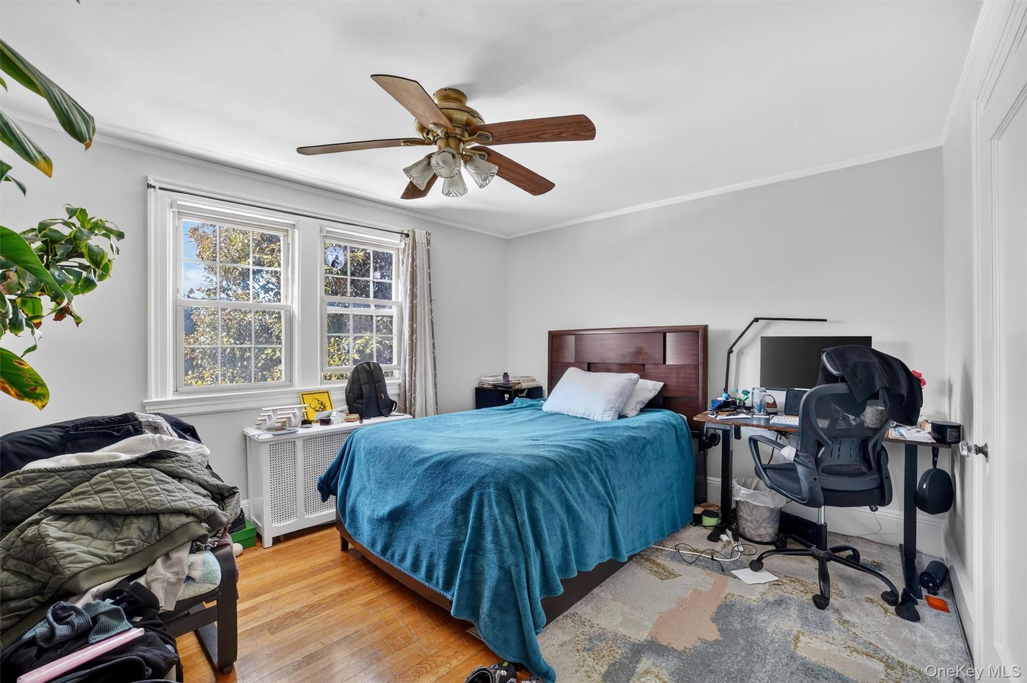 #19 photo, 676 Webster Avenue, 紐約州 New Rochelle , NY 10801