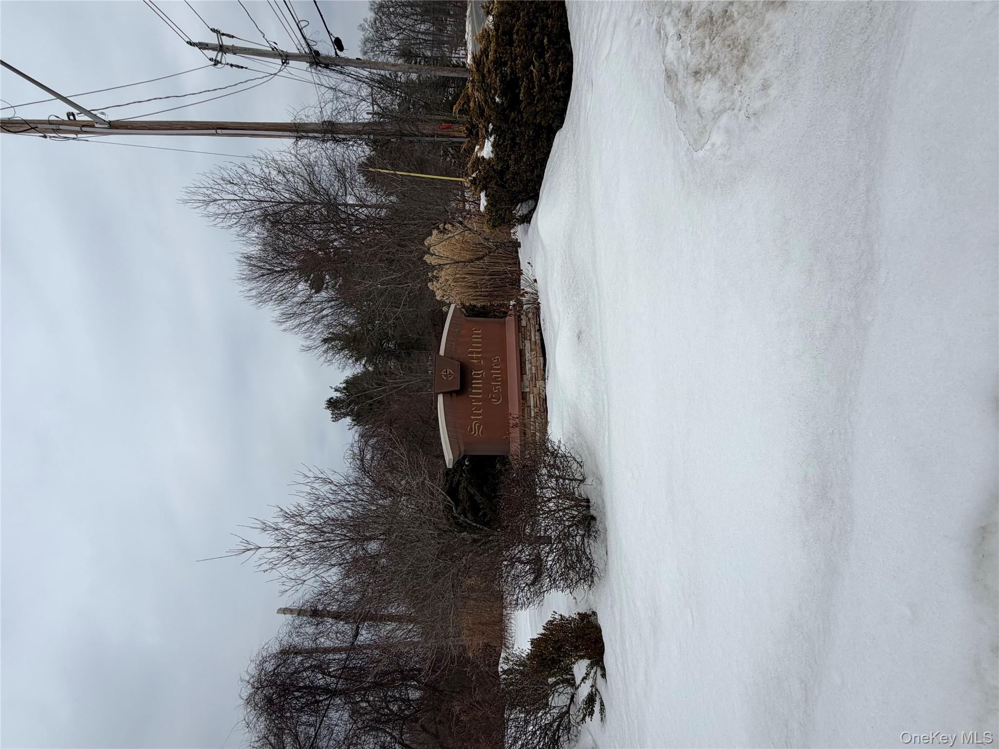 #2 photo, 96 Juniper Terrace, Tuxedo Park , NY 10987