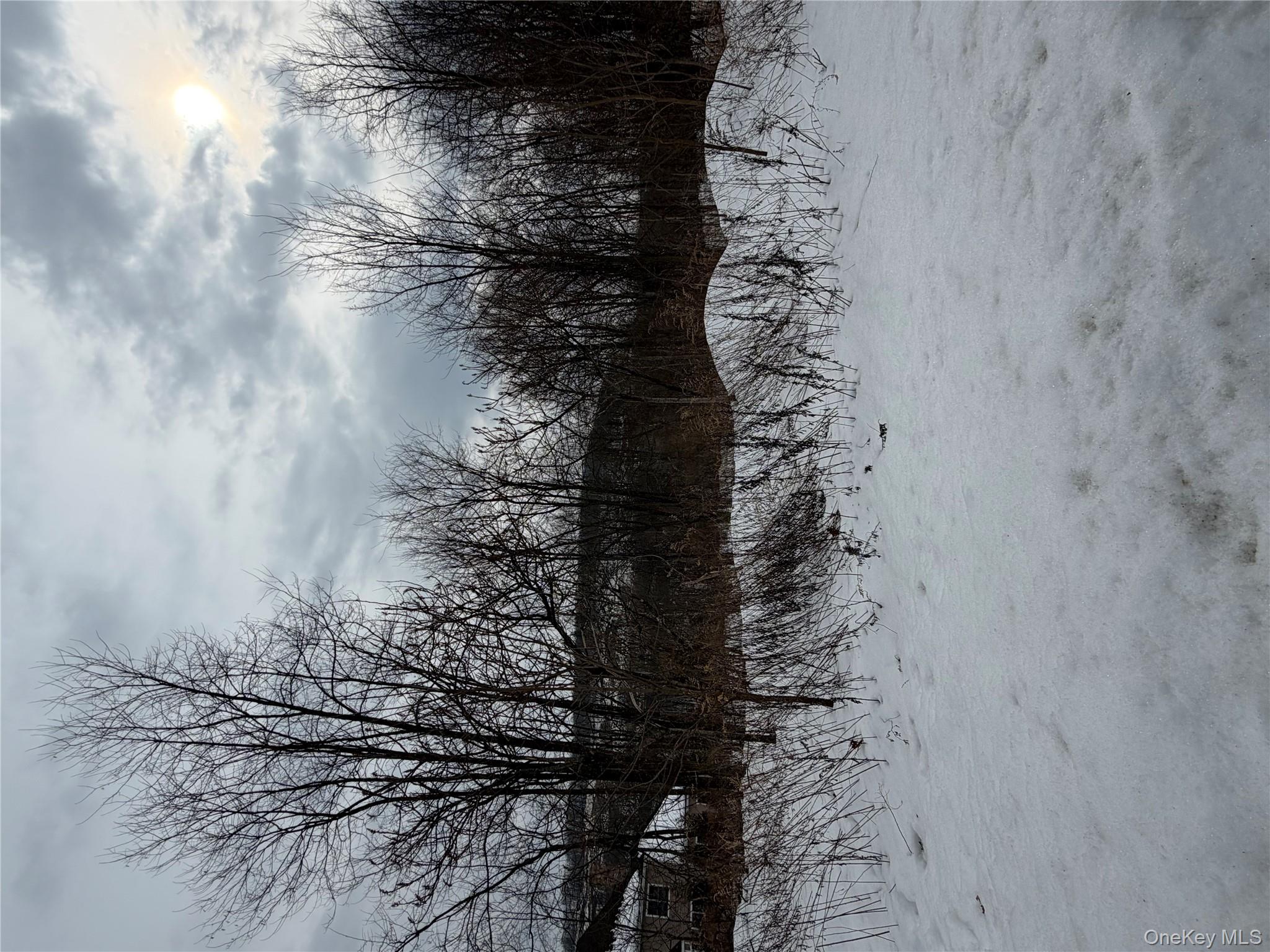 #3 photo, 96 Juniper Terrace, Tuxedo Park , NY 10987