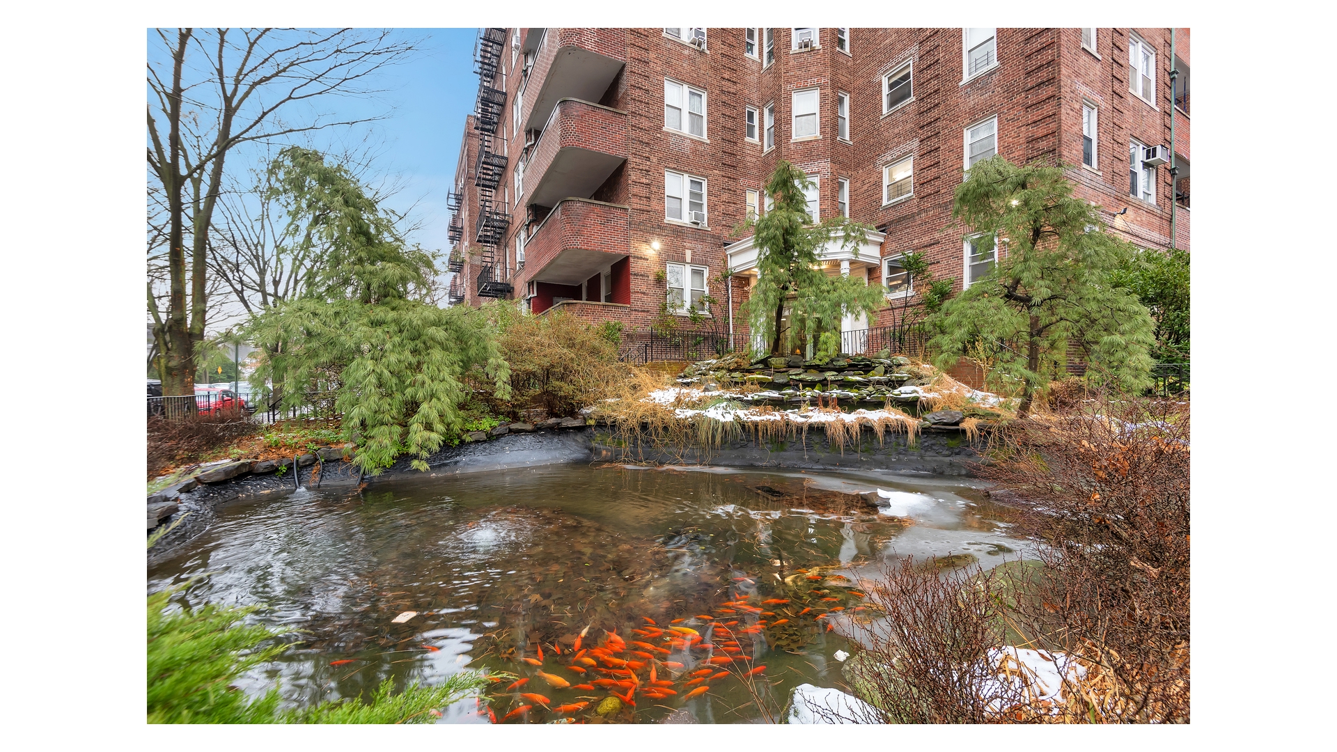 #15 photo, 1620 Ave I, 布鲁克林 Midwood , NY 11230