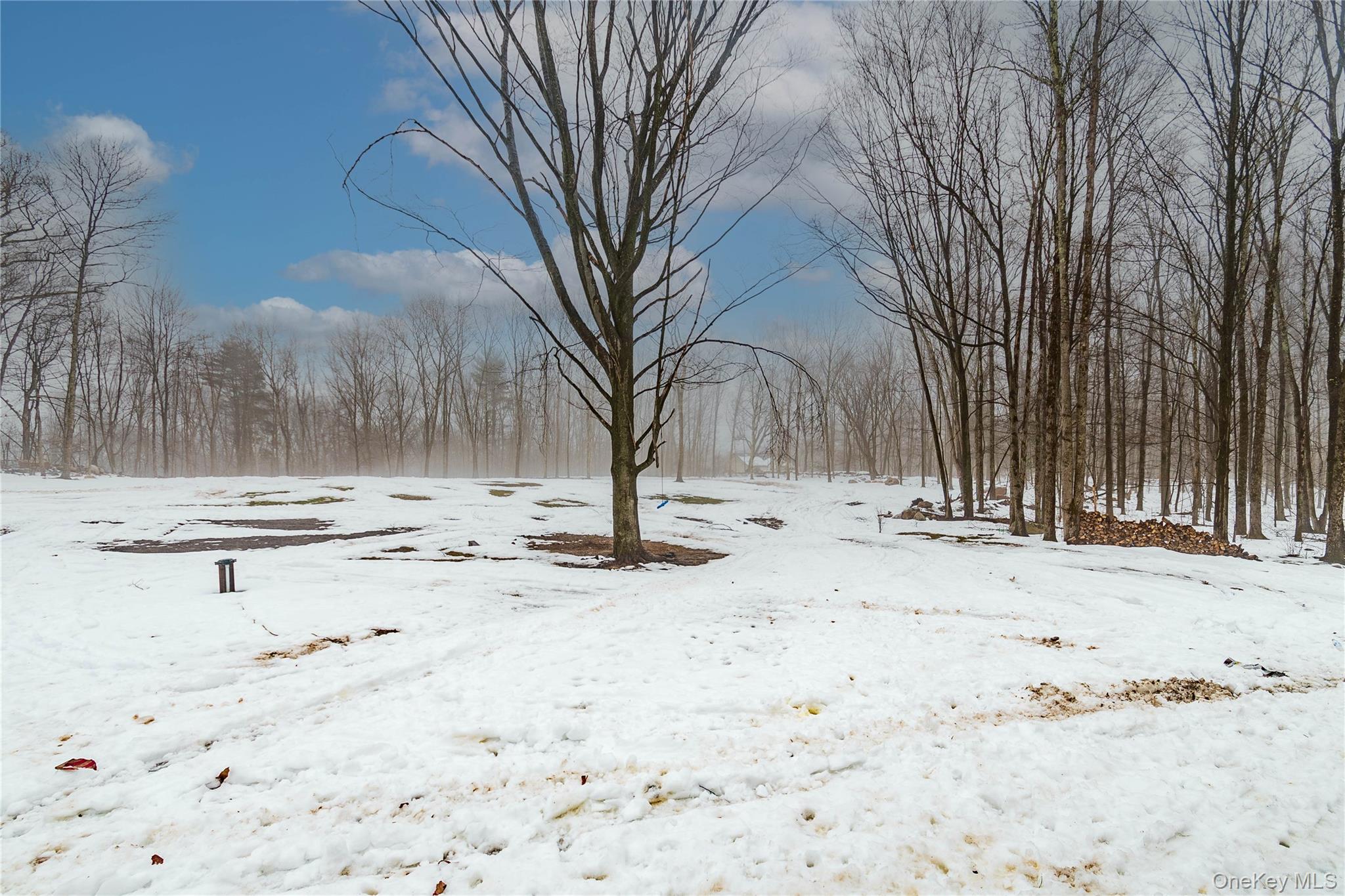 #4 photo, 4 Lewis Lane, Bloomingburg , NY 12721