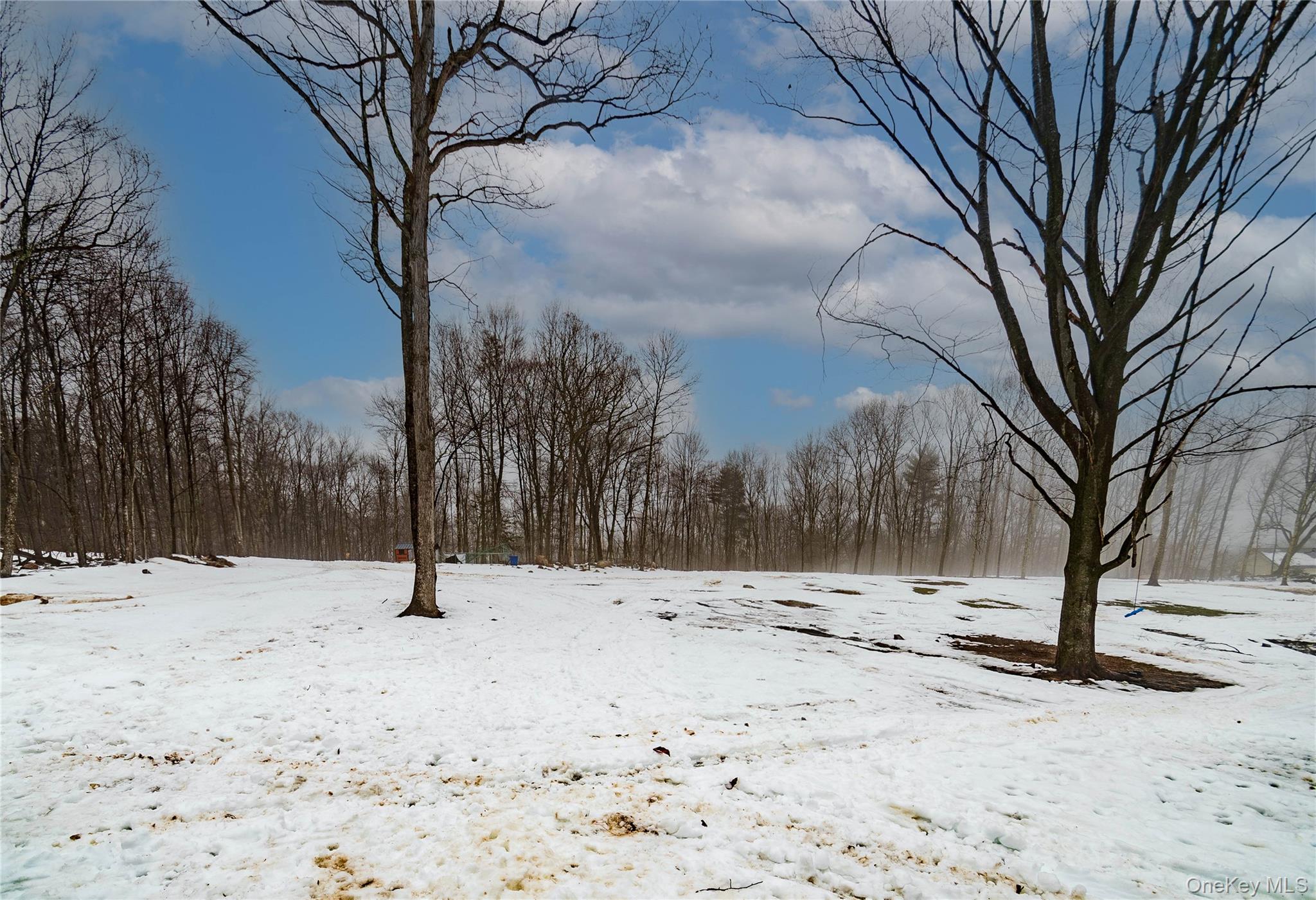 #5 photo, 4 Lewis Lane, Bloomingburg , NY 12721