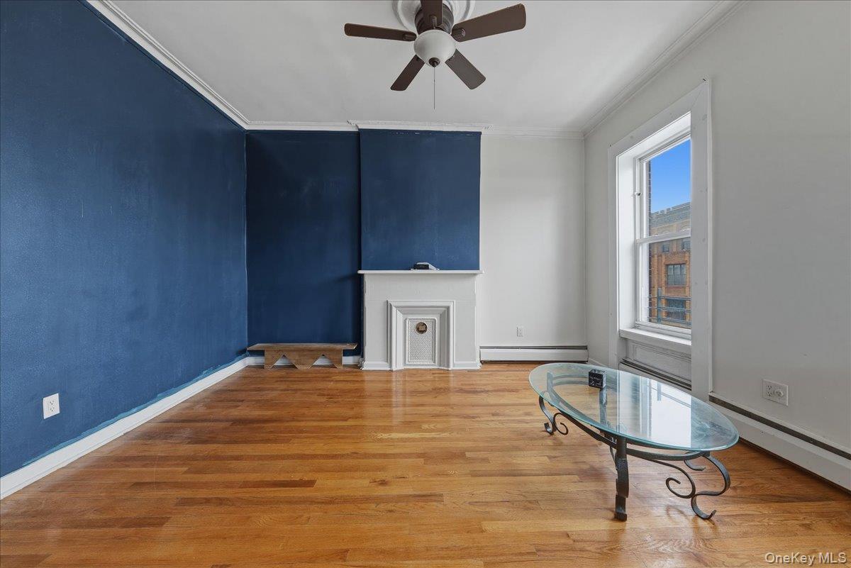 #17 photo, 426 Decatur Street, Brooklyn , NY 11233