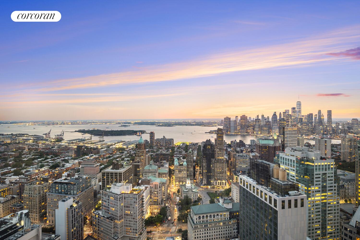 #21 photo, 388 BRIDGE Street, Downtown Brooklyn , NY 11201