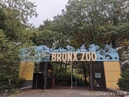 #20 photo, 1627 Pilgrim Avenue, Bronx , NY 10461