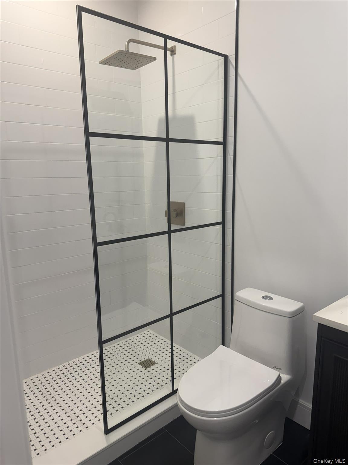 #18 photo, 2661 Hyacinth Street, নাসাউ কাউন্টি Westbury , NY 11590