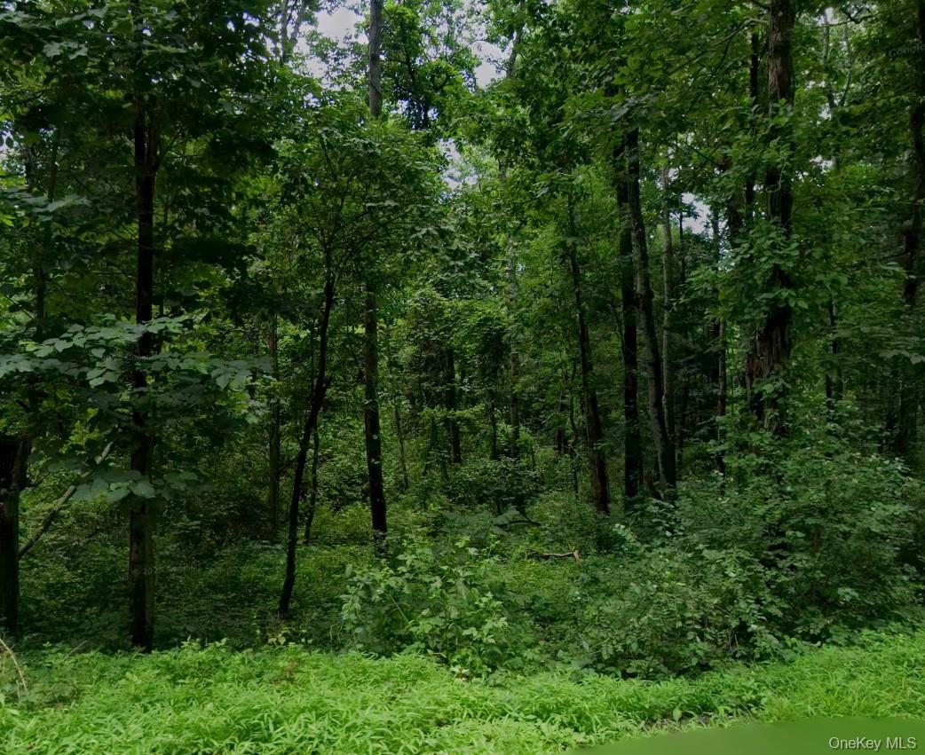 #2 photo, 00 Silverlake Road, Rhinebeck , NY 12572