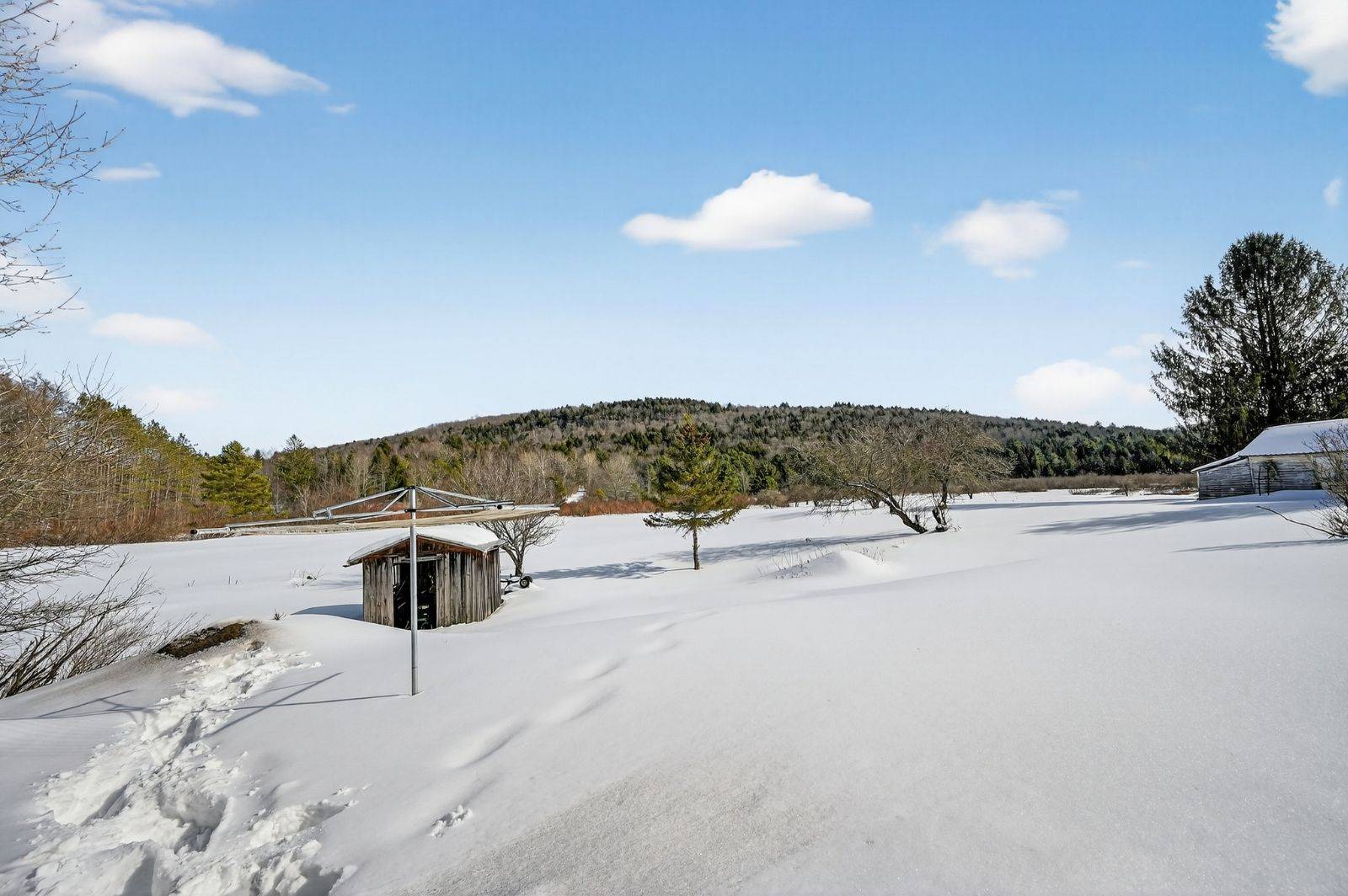 #37 photo, 380 Baptist Church Rd, 紐約州 Charlotteville , NY 12036