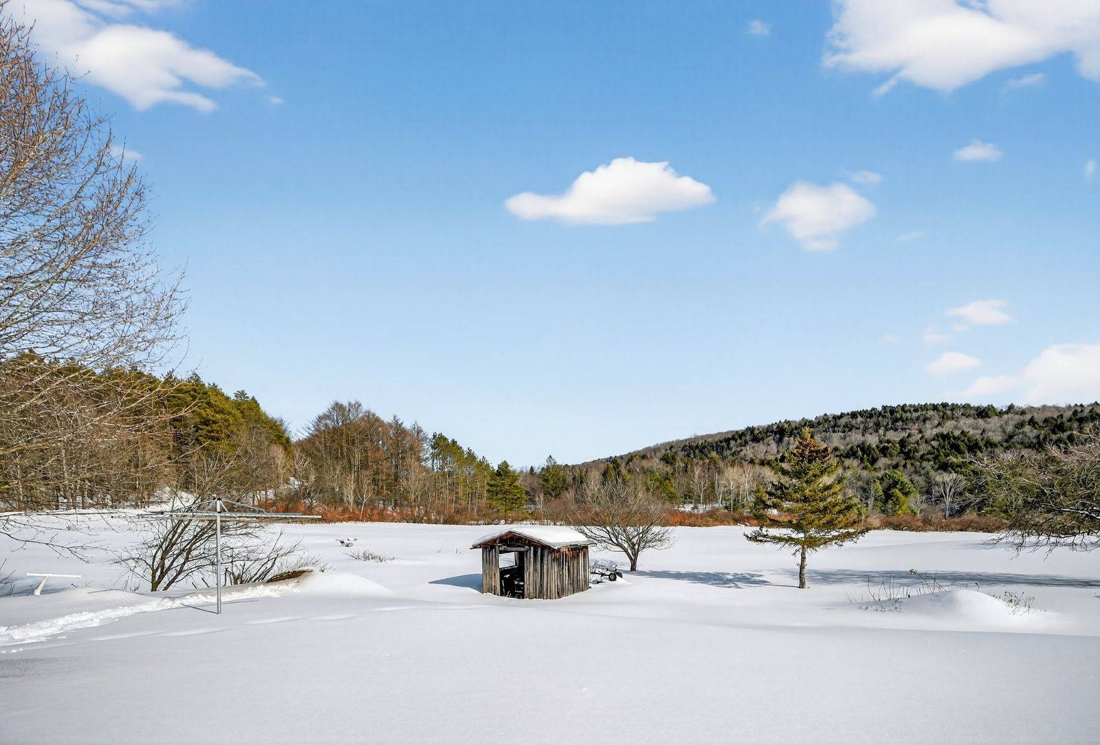 #6 photo, 380 Baptist Church Rd, 紐約州 Charlotteville , NY 12036