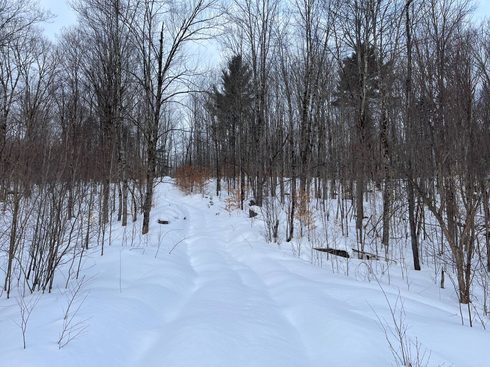 #14 photo, 00 Silver Hill Road, Russell , NY 13684