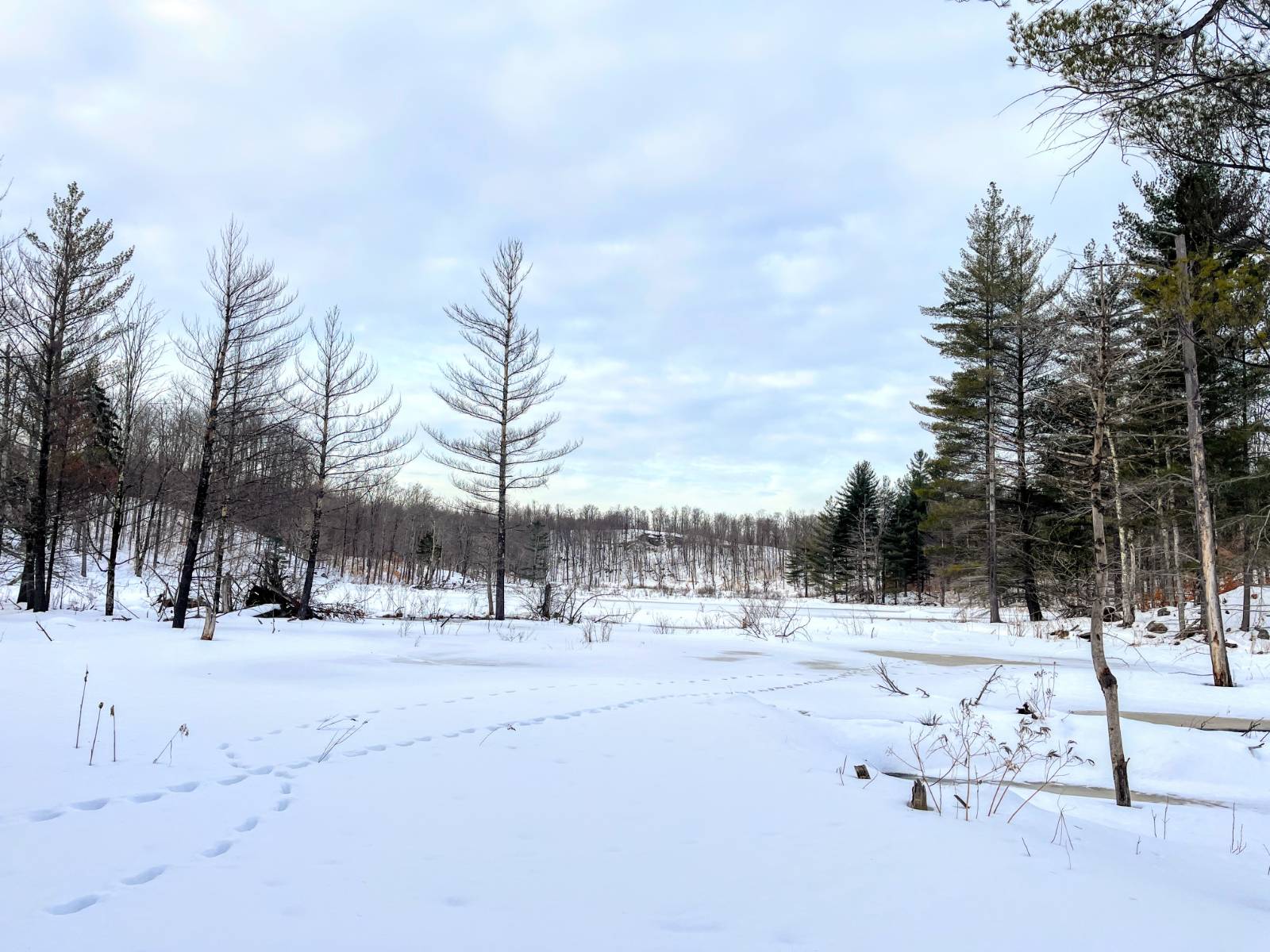 #15 photo, 00 Silver Hill Road, Russell , NY 13684