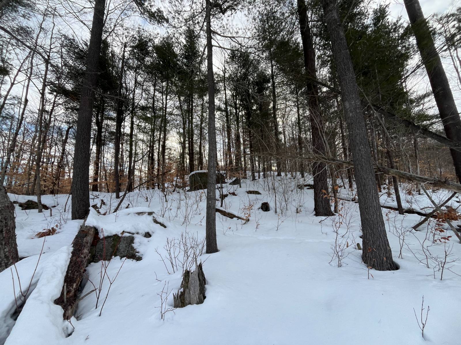 #16 photo, 00 Silver Hill Road, Russell , NY 13684