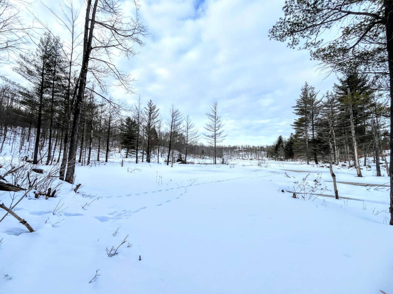 #17 photo, 00 Silver Hill Road, Russell , NY 13684