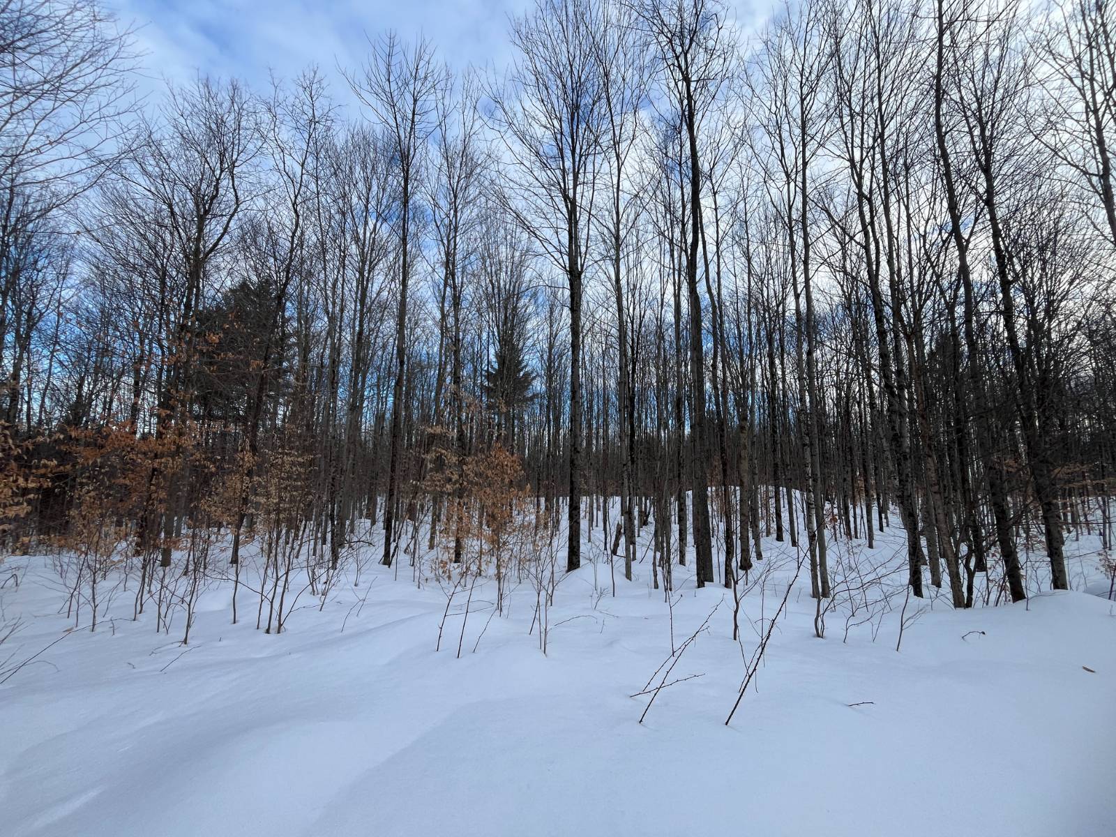 #18 photo, 00 Silver Hill Road, Russell , NY 13684