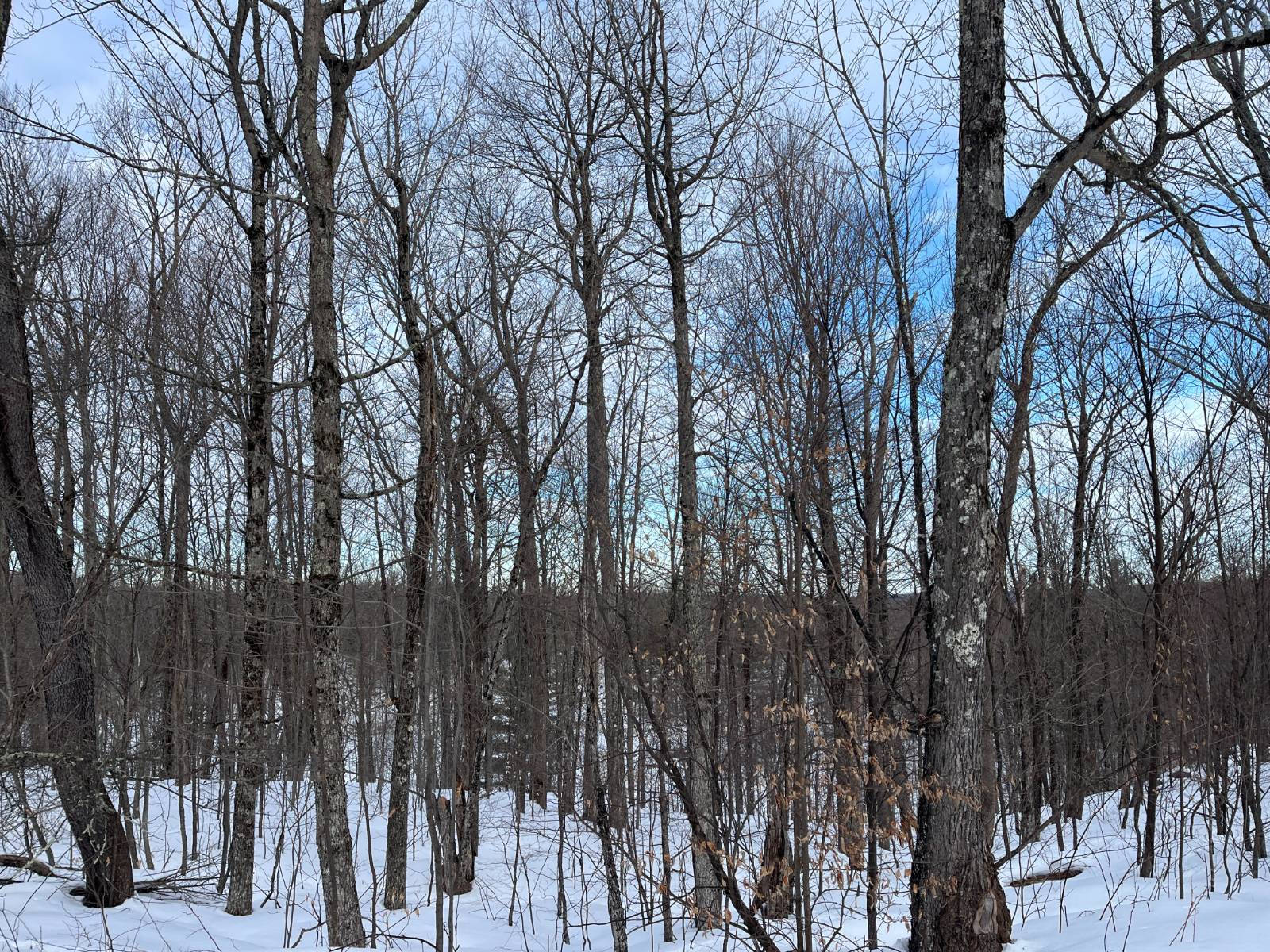 #20 photo, 00 Silver Hill Road, Russell , NY 13684