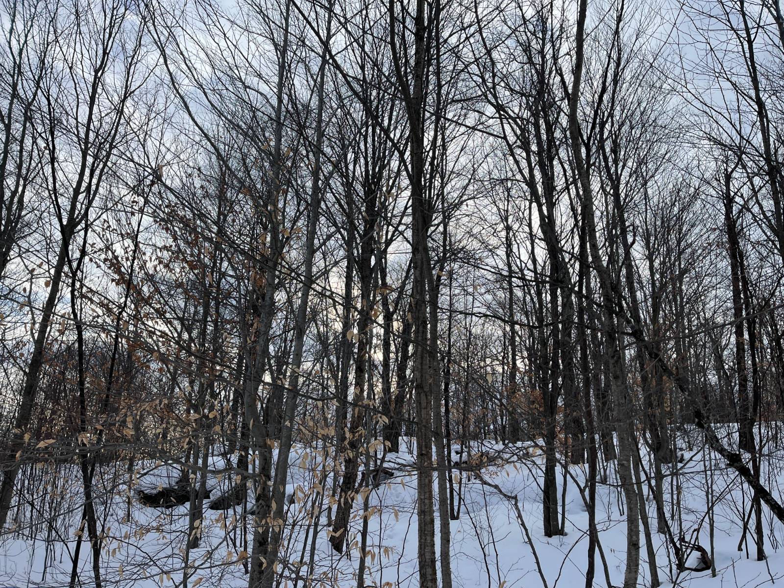 #21 photo, 00 Silver Hill Road, Russell , NY 13684