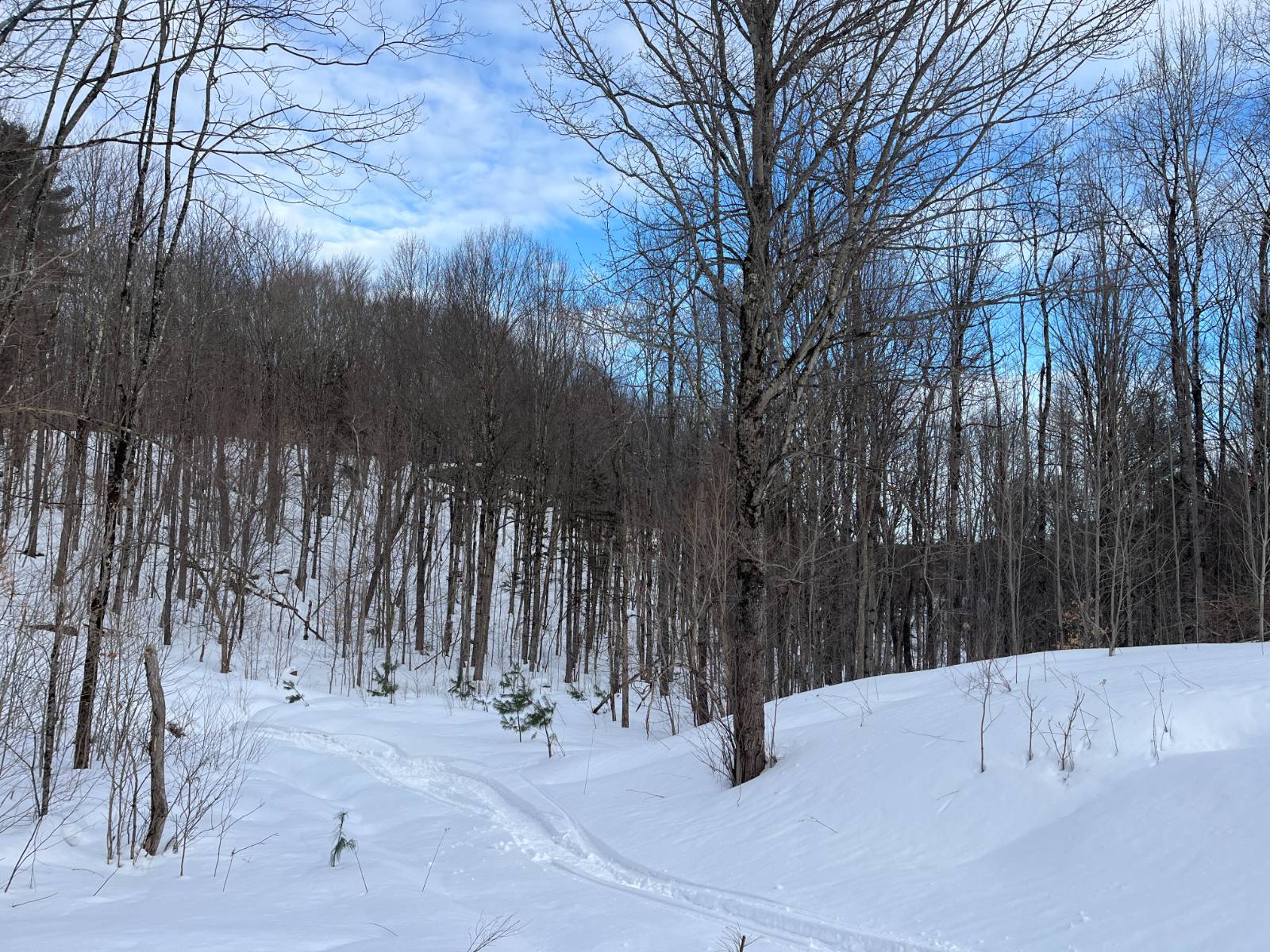 #23 photo, 00 Silver Hill Road, Russell , NY 13684