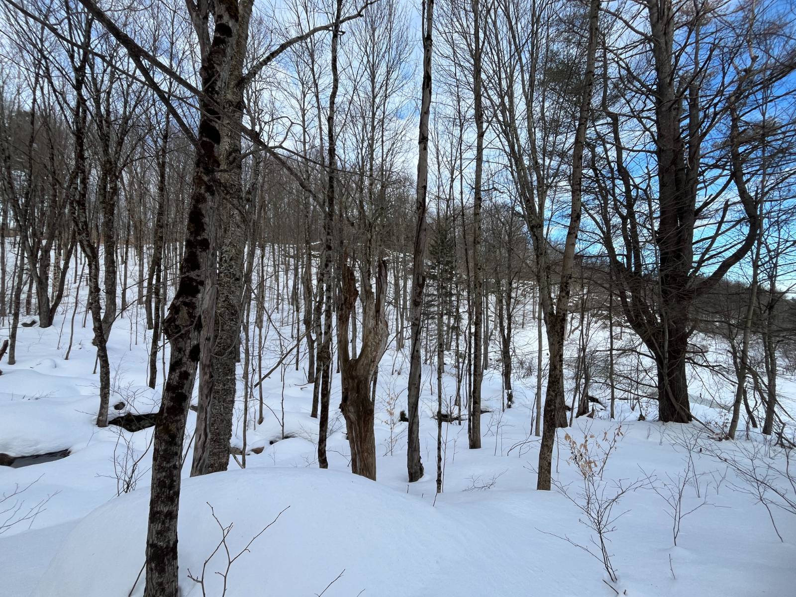 #24 photo, 00 Silver Hill Road, Russell , NY 13684