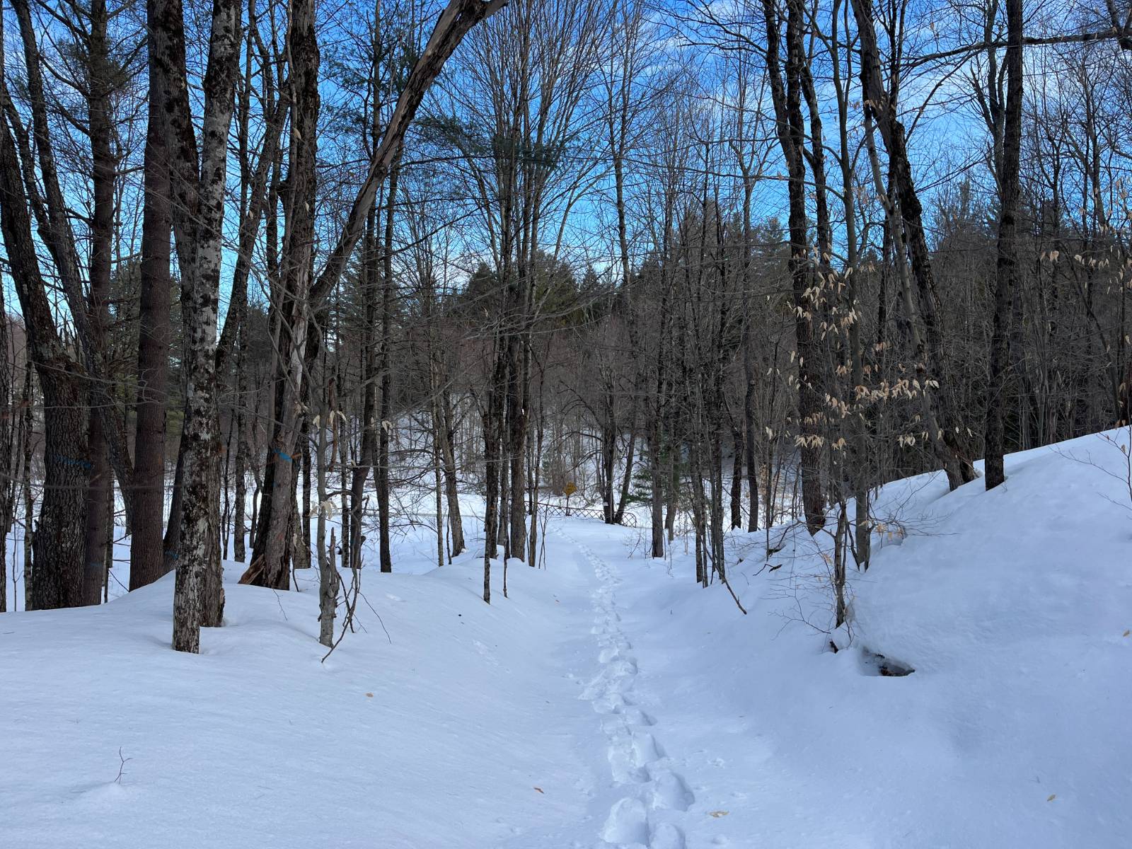 #27 photo, 00 Silver Hill Road, Russell , NY 13684