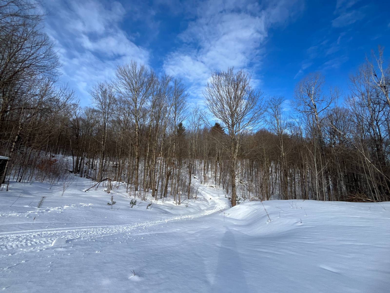 #29 photo, 00 Silver Hill Road, Russell , NY 13684