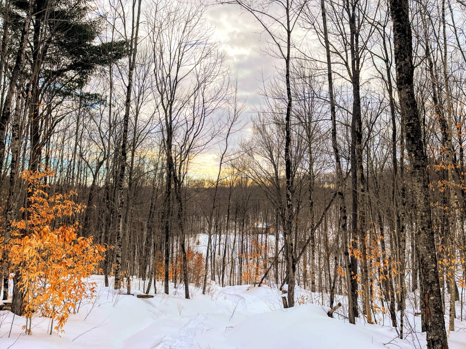 #3 photo, 00 Silver Hill Road, Russell , NY 13684