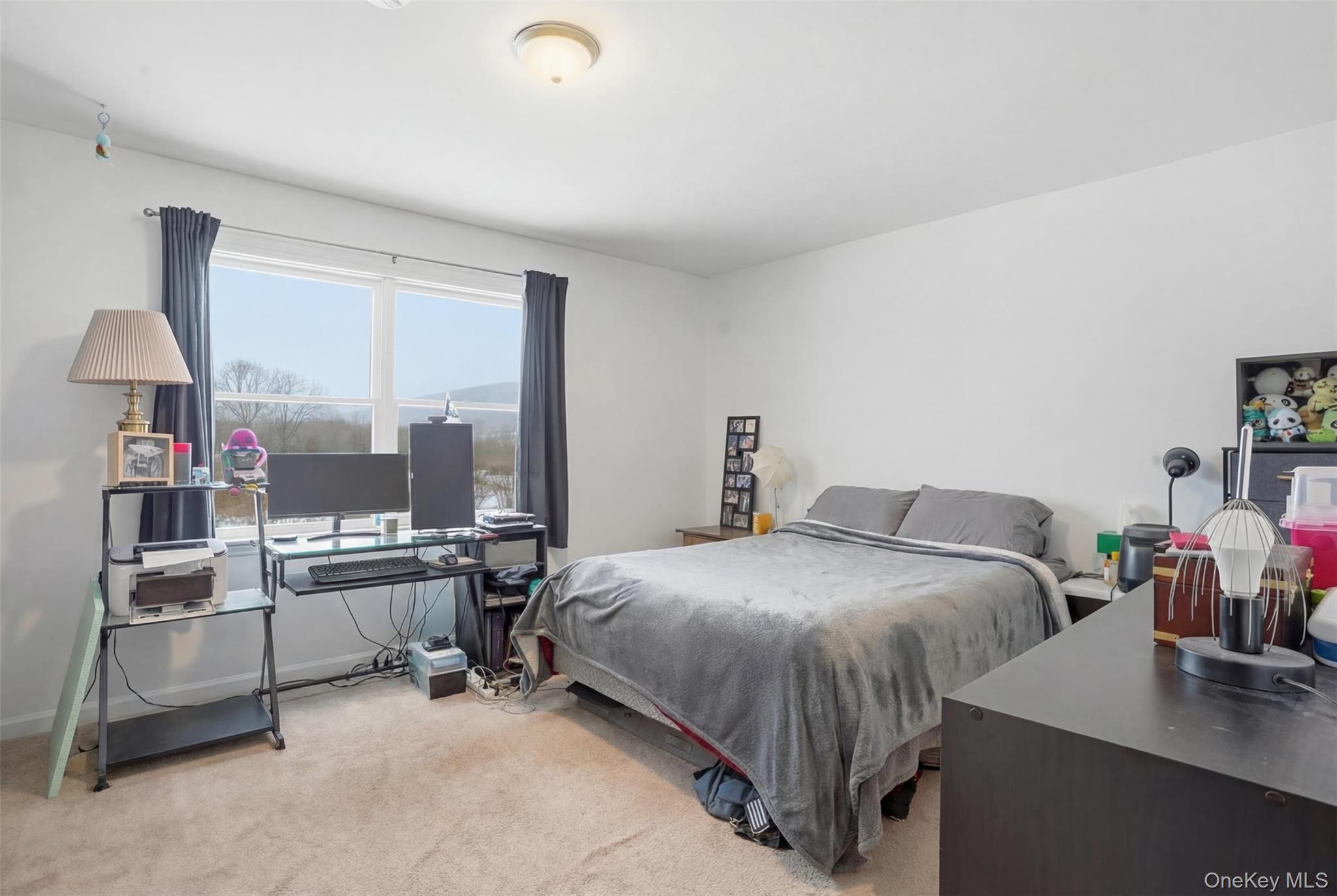 #18 photo, 223 Vineyard Avenue, 紐約州 Highland , NY 12528