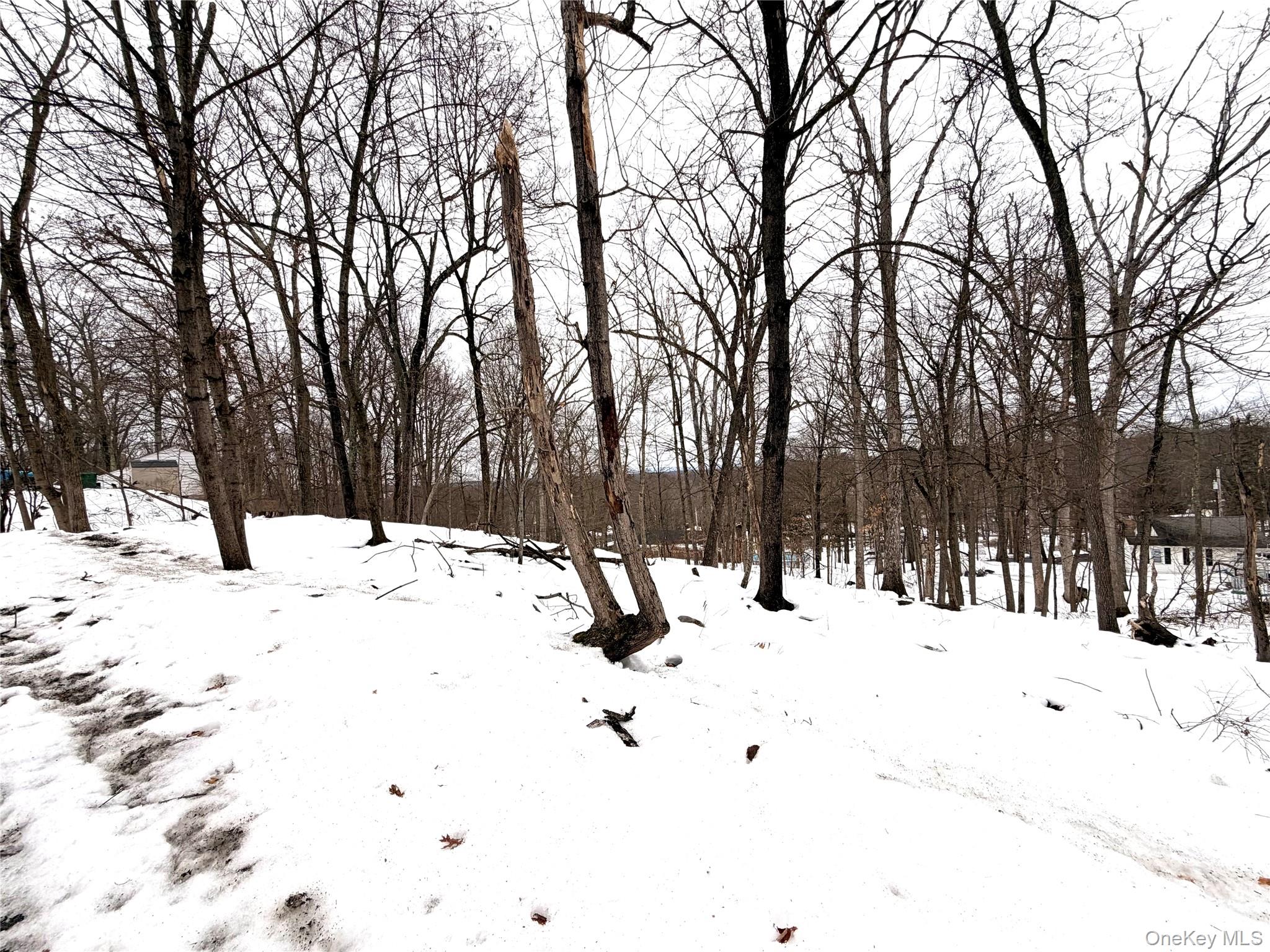 #2 photo, 149 Sunset Drive, Wappingers Falls , NY 12590